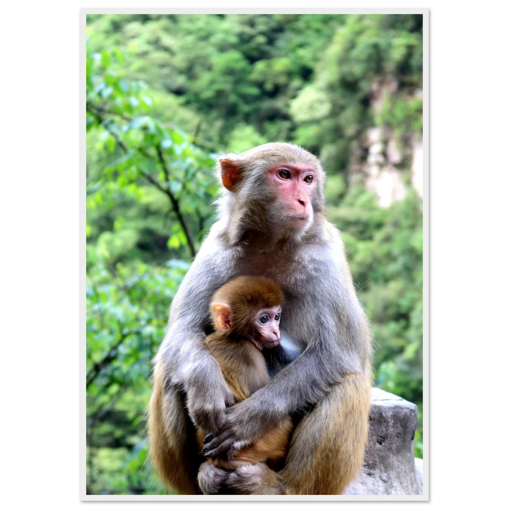 f7b79aae-803c-4870-b406-9fc7d9d60144