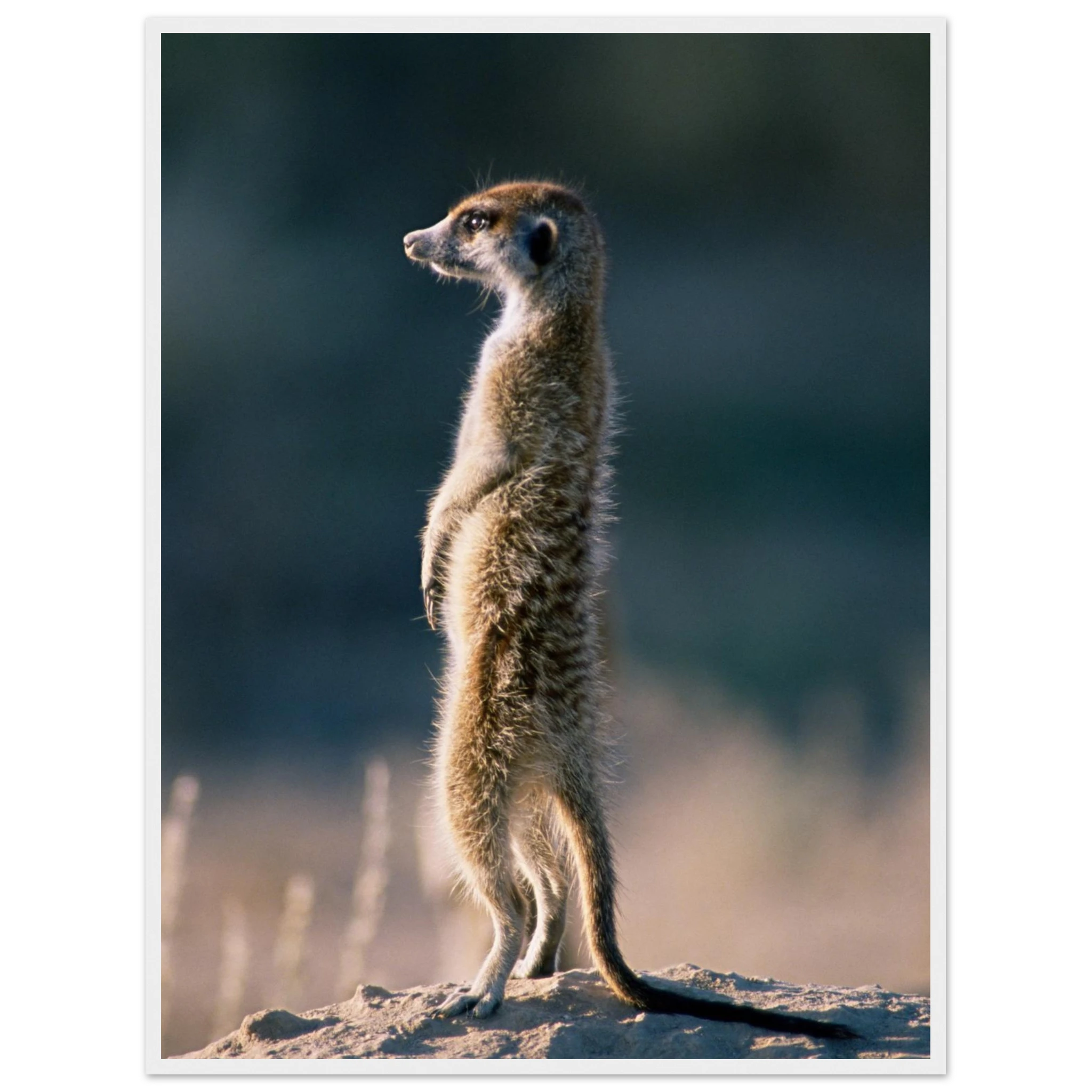 f7cde89a-851f-4224-97b8-c7c6f424ca1d