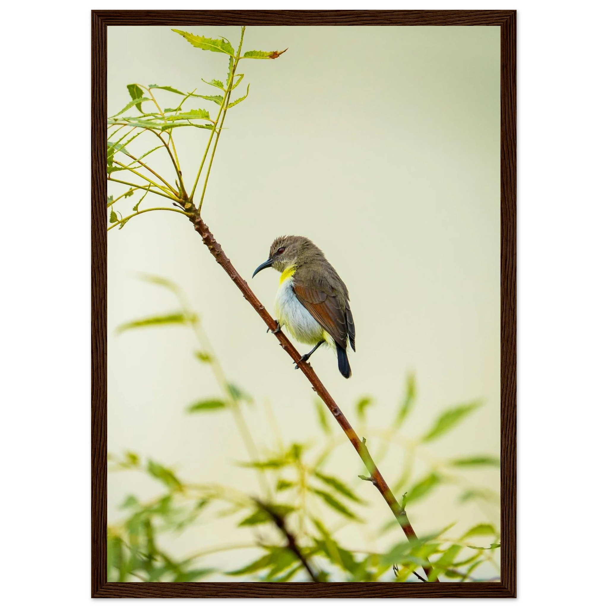 f7d05f54-3921-4d3e-bf84-b6ad90bb4a17