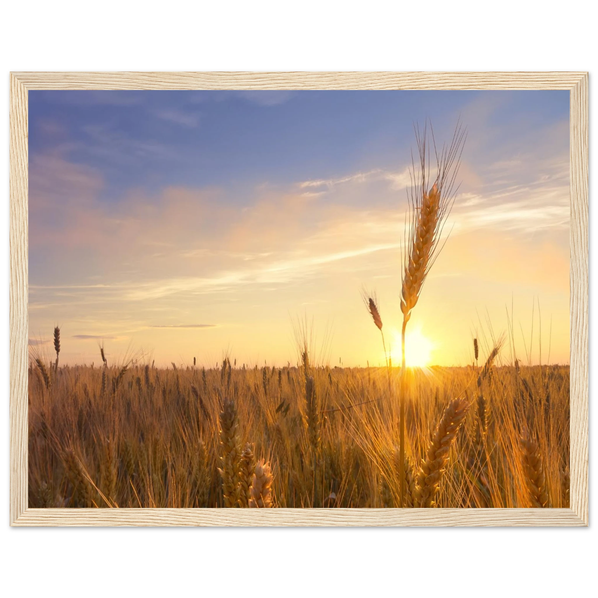 f7d44e8e-1603-4d0c-80ac-6c380bc77e91