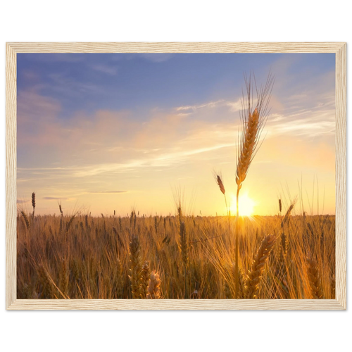 f7d44e8e-1603-4d0c-80ac-6c380bc77e91