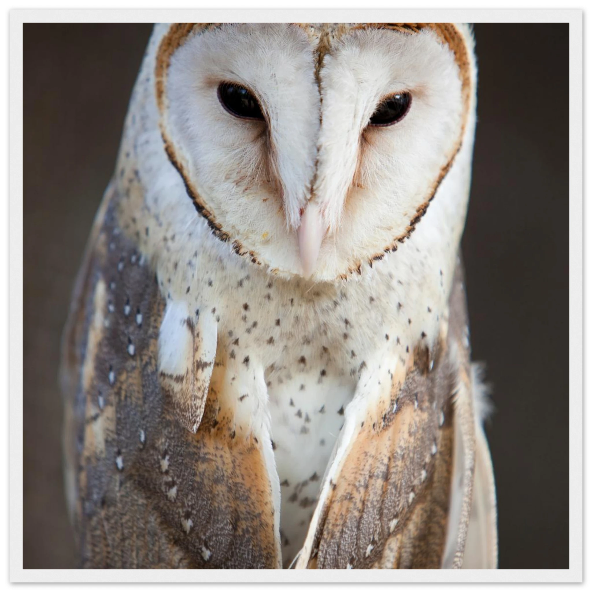 f80bdab2-03cd-4be6-8802-fc44240aadf9