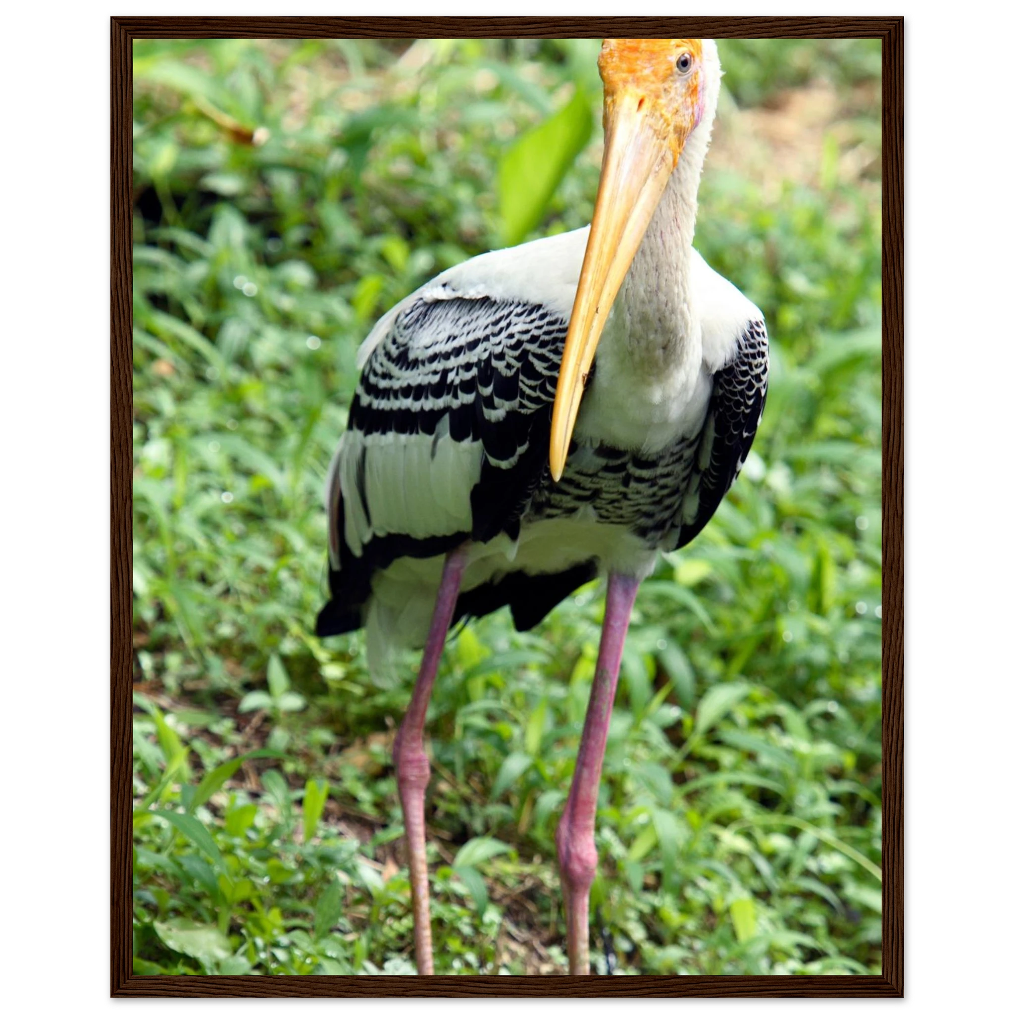 f878bb09-78ef-49d7-ae55-0c085b282bd6