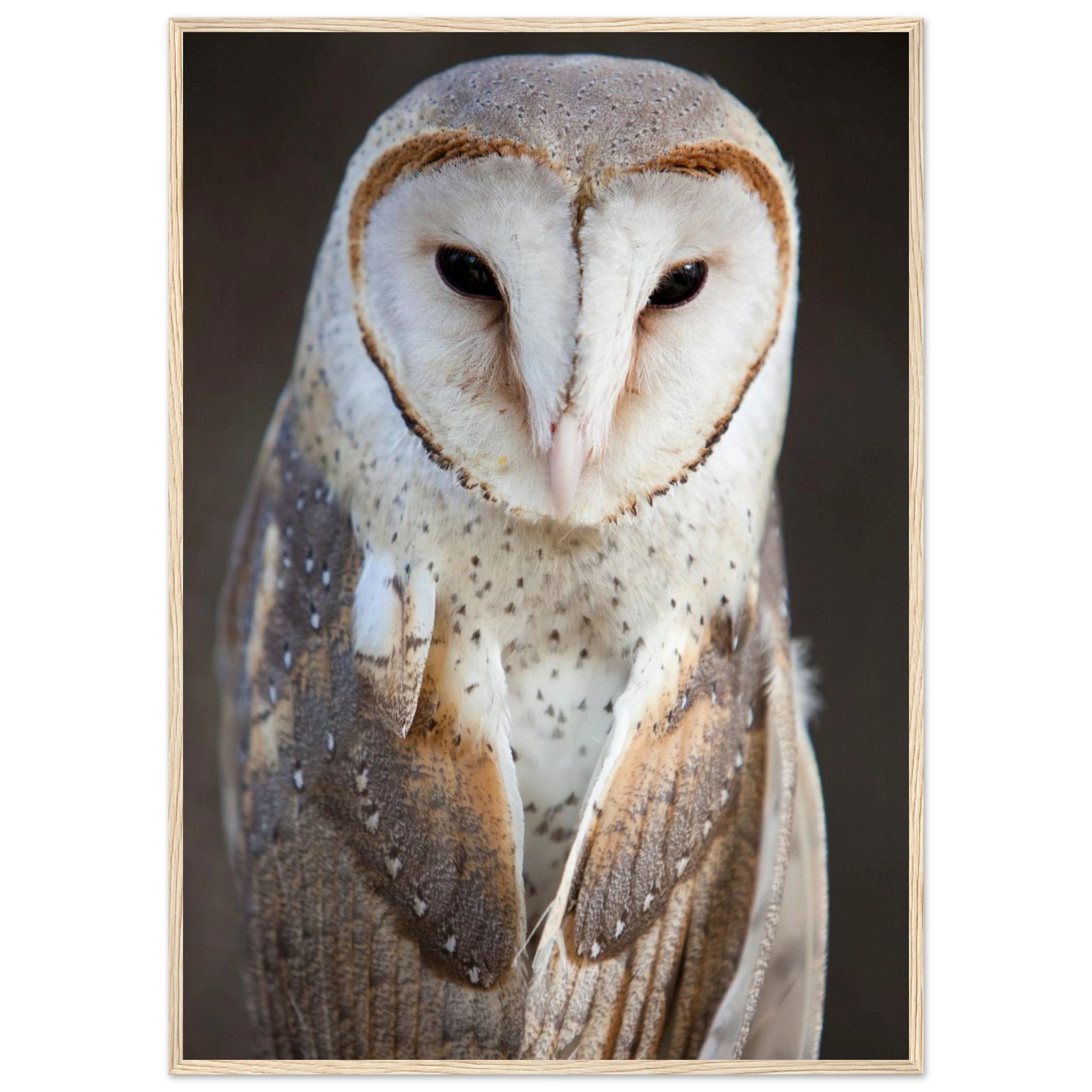 f8856395-499f-4d0d-a9a7-ce5b342b7030