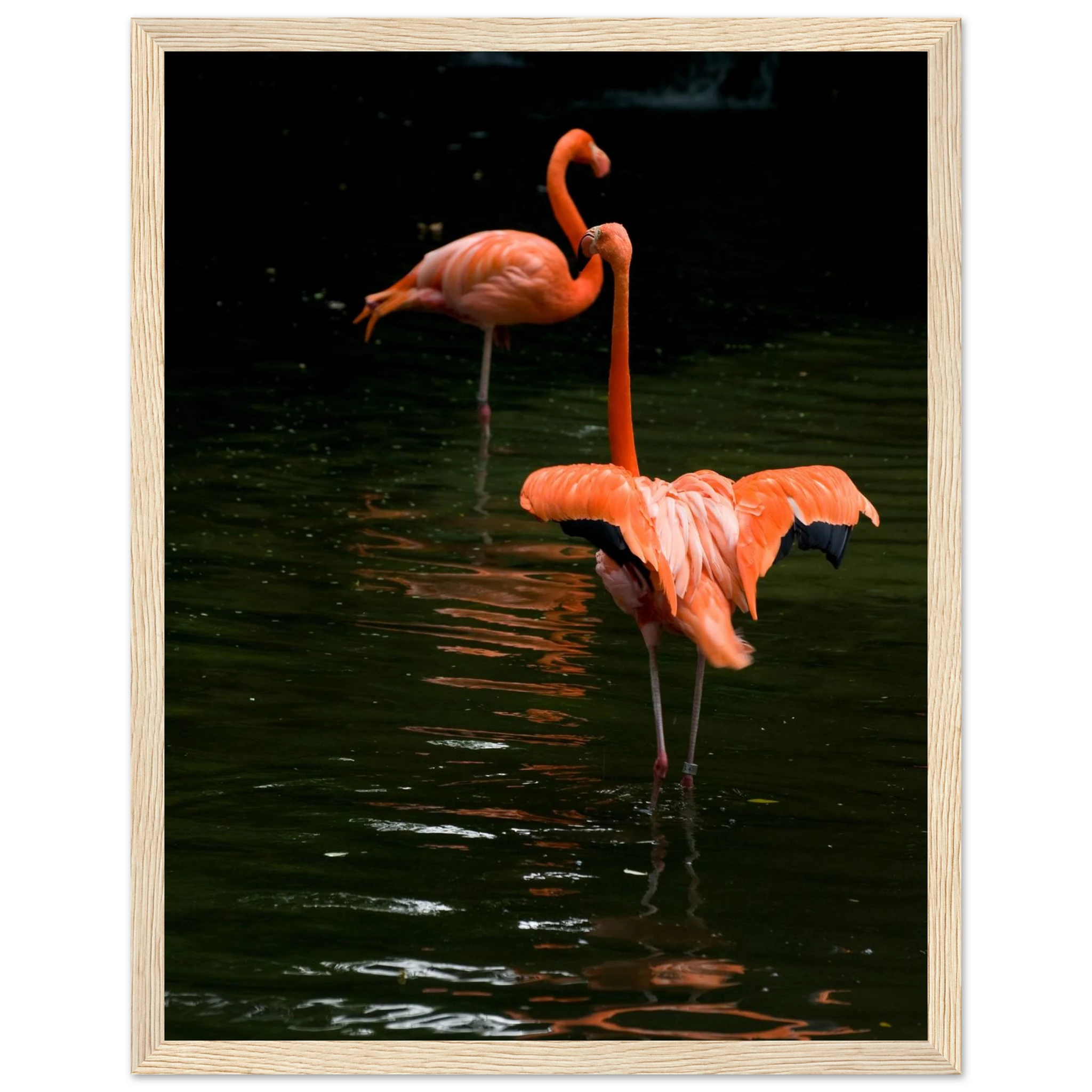 f886da0c-27c1-4c23-b007-d4eaa47cd3f9