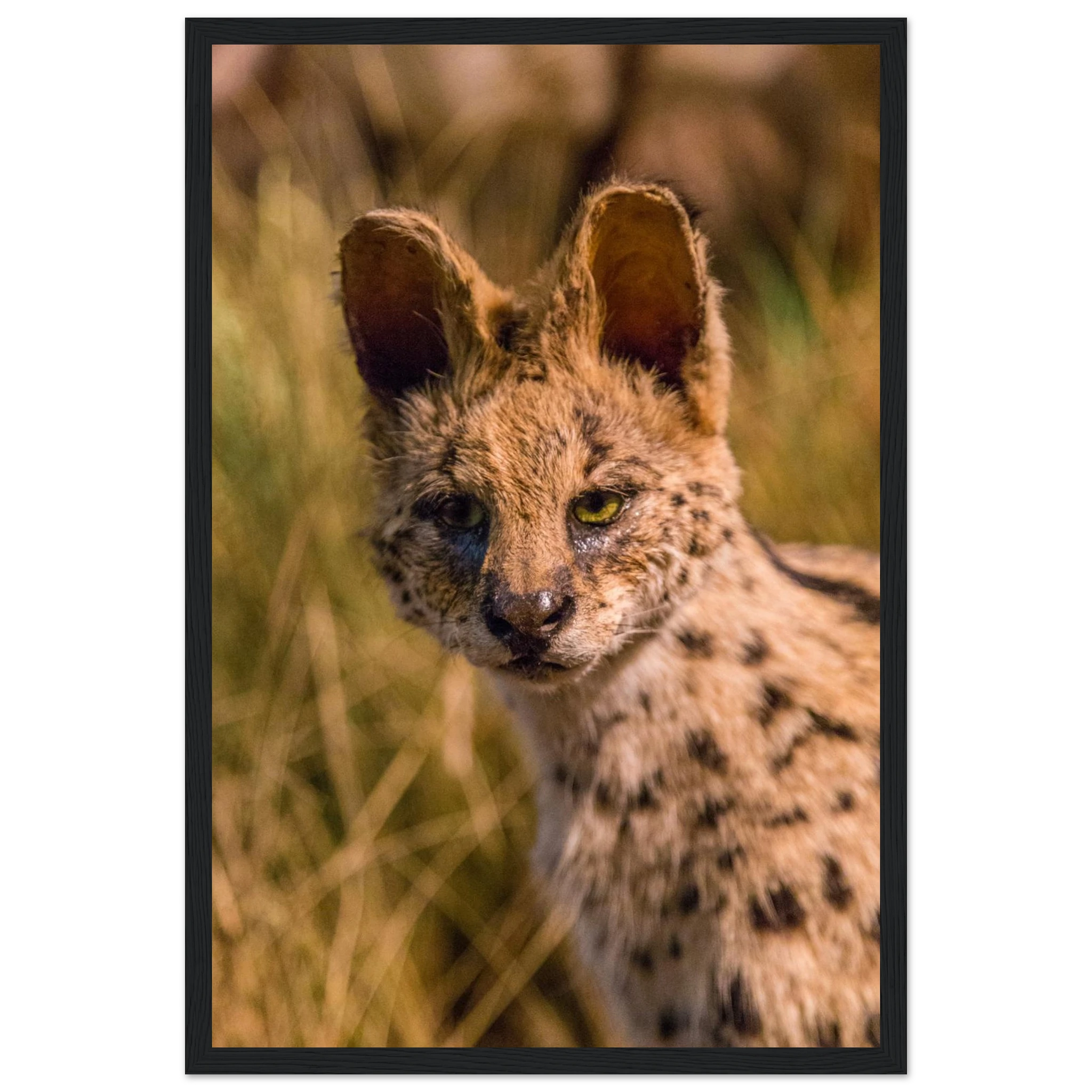 f88dec48-37c6-4781-a43f-4b79d8d939bb