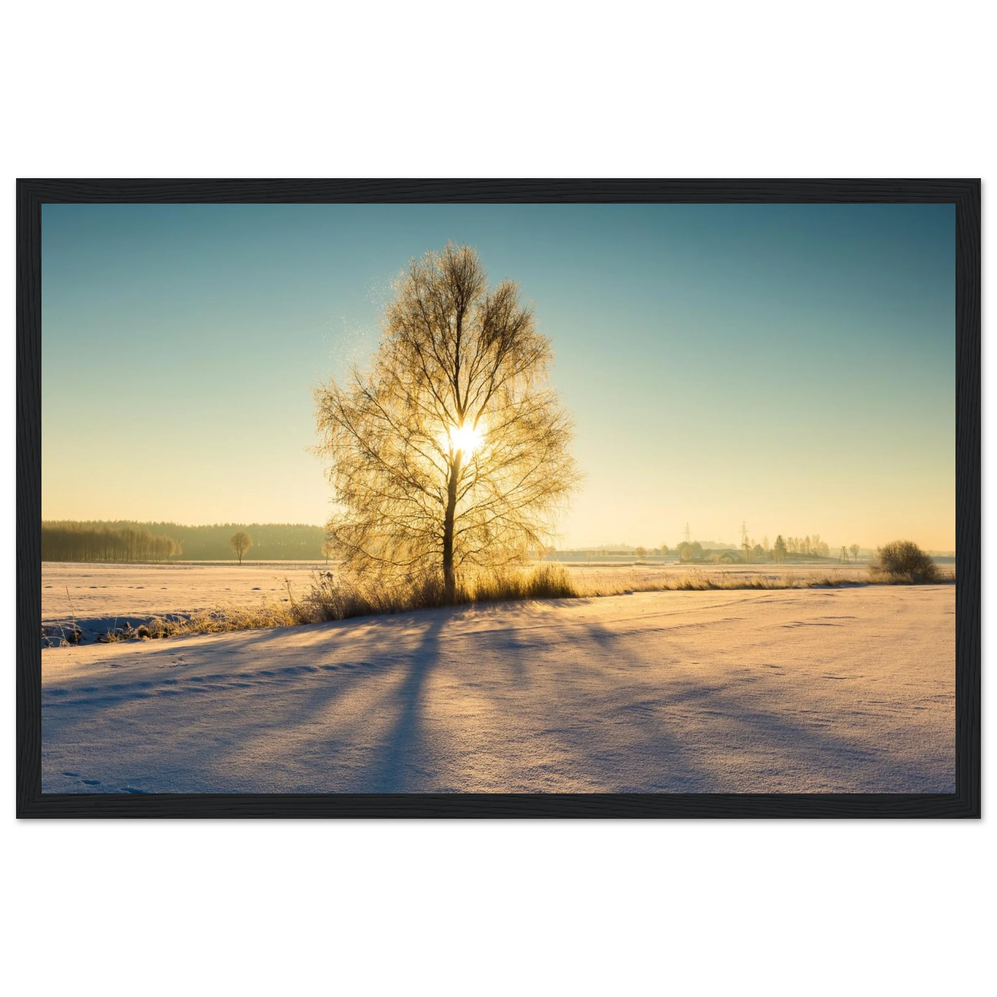 f8bd00d3-b75a-48c5-97cc-b4cb1fd99807