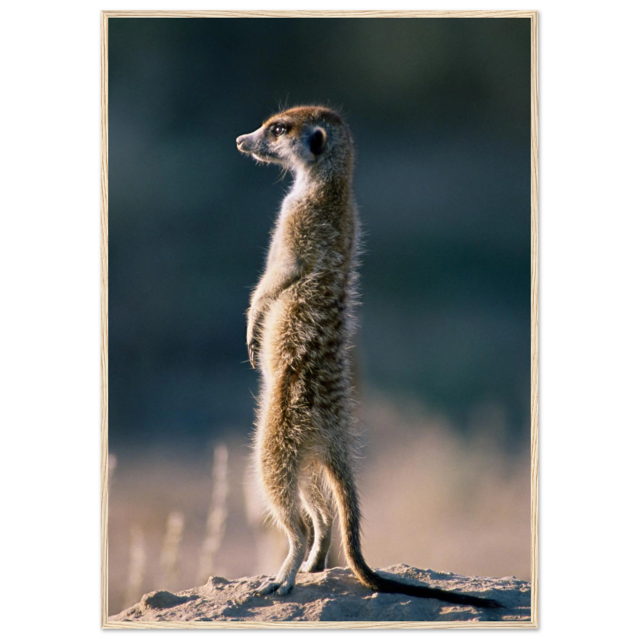 f8c6d52e-c7c6-4cff-a3fd-61d8bcaebd49