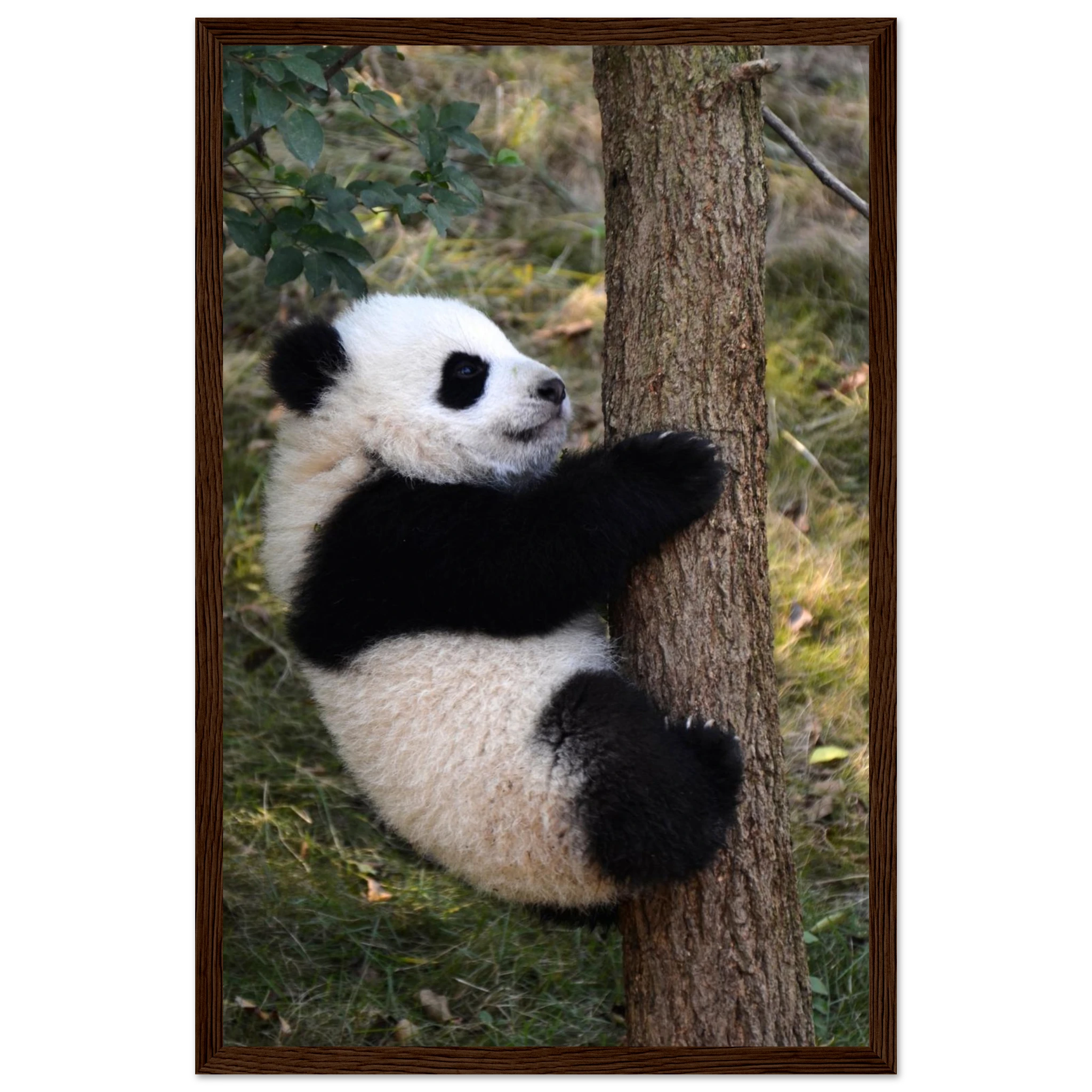 f8edd52e-a11f-4423-8a5a-cc615e697fec