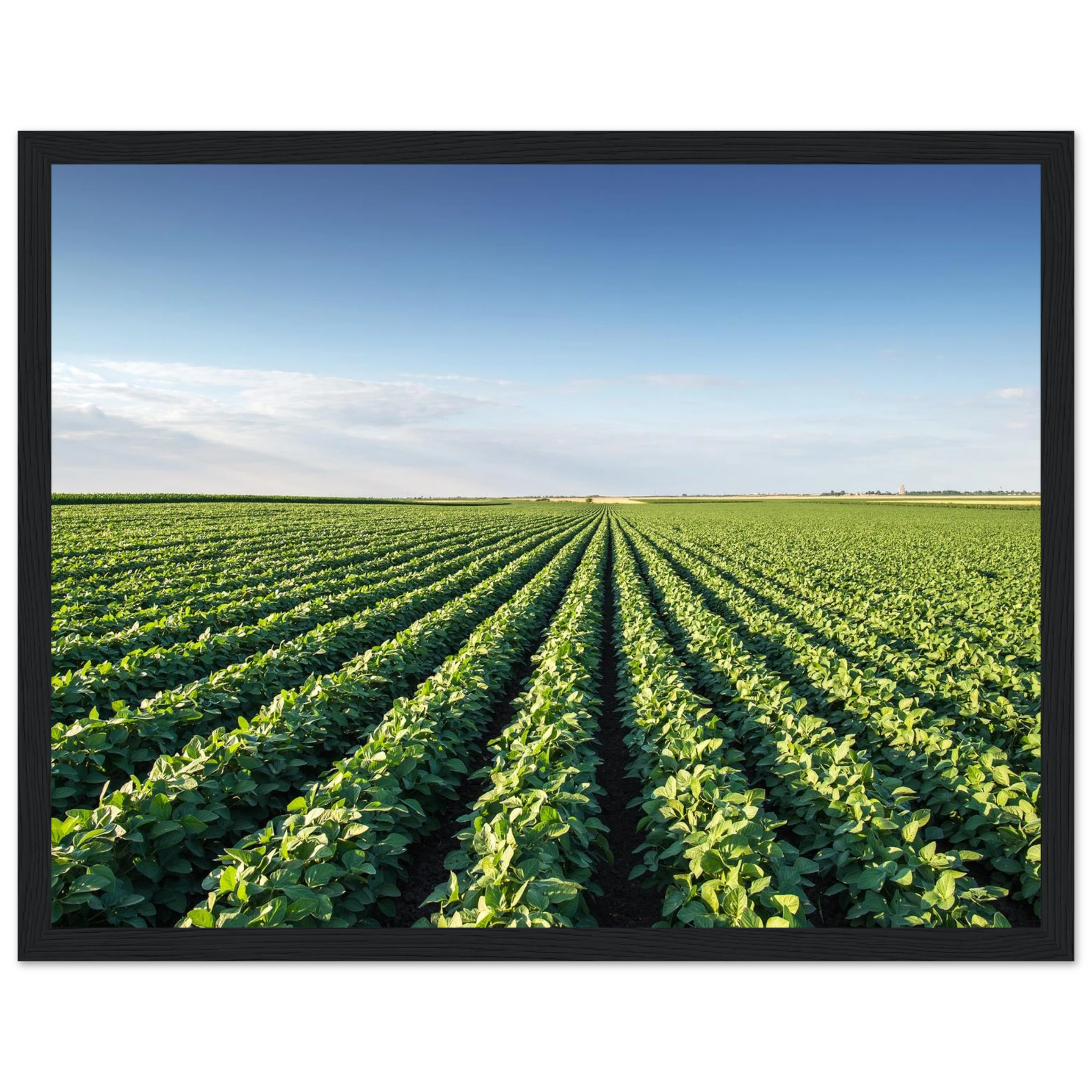 f8f84406-26ea-4447-8b39-27190ef54fcc