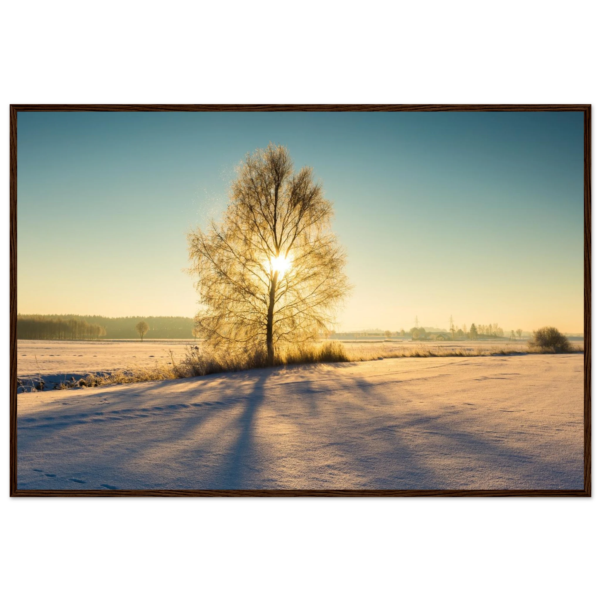 f8fbded8-943e-4316-bb26-9fbb7900dda4