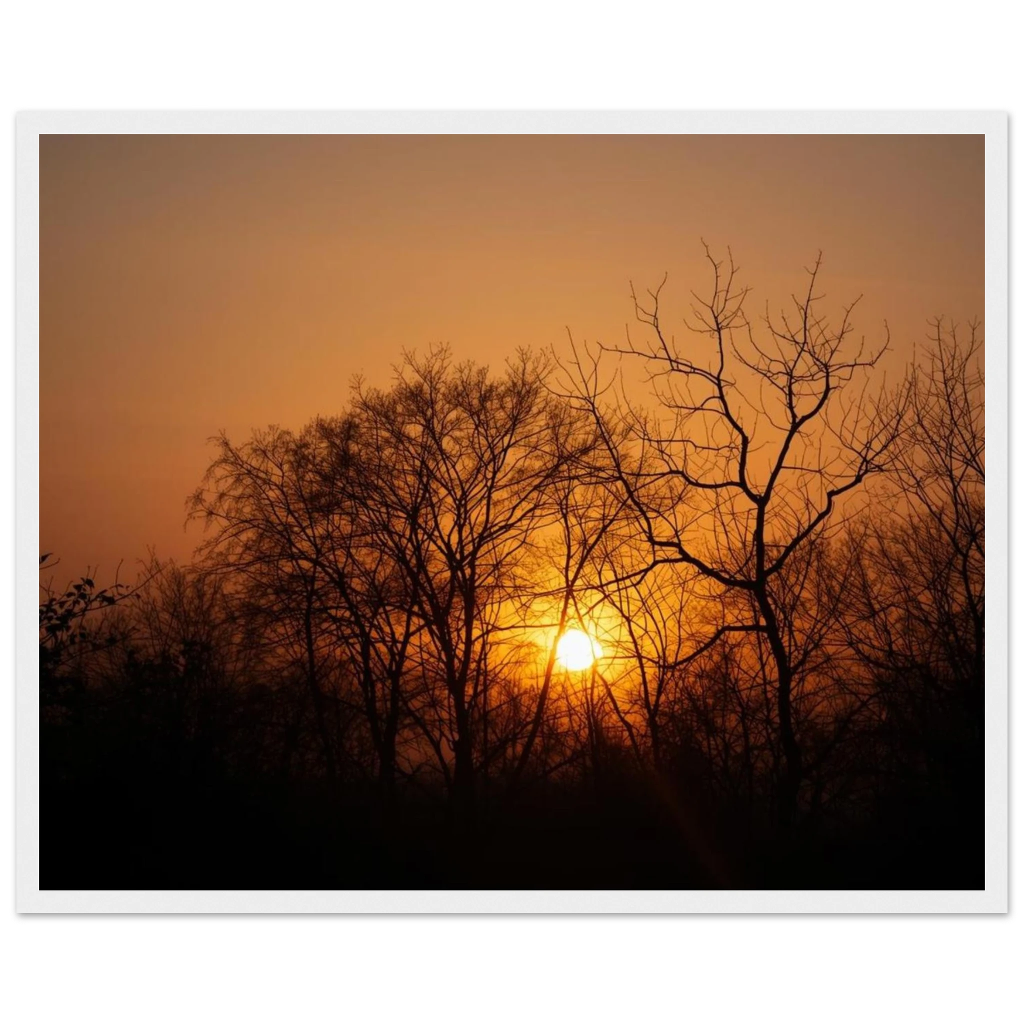 f9355eb2-832d-468b-ae5b-47c45f9befaf