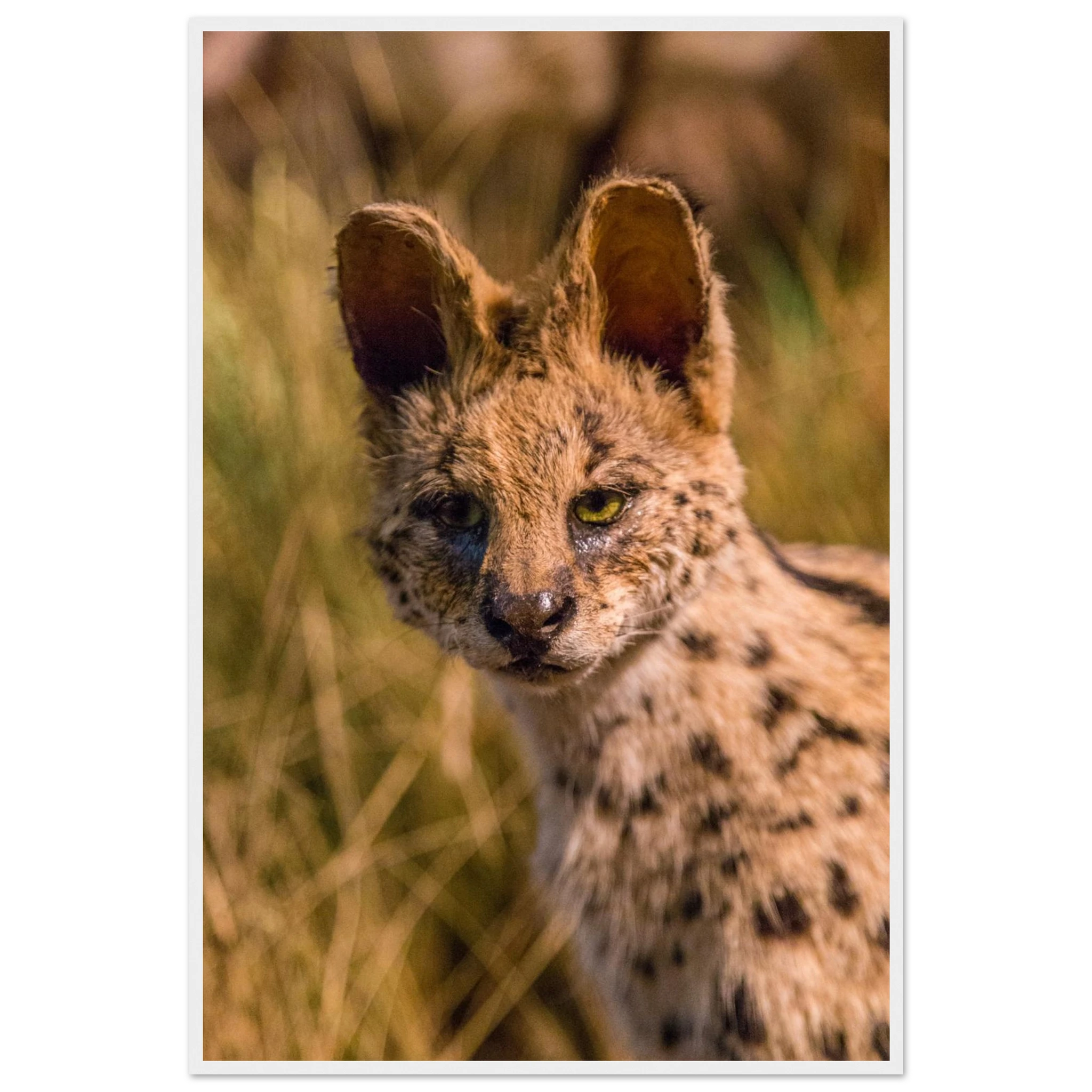 f94cddbe-ecb1-4b18-b8af-da35265a49b9