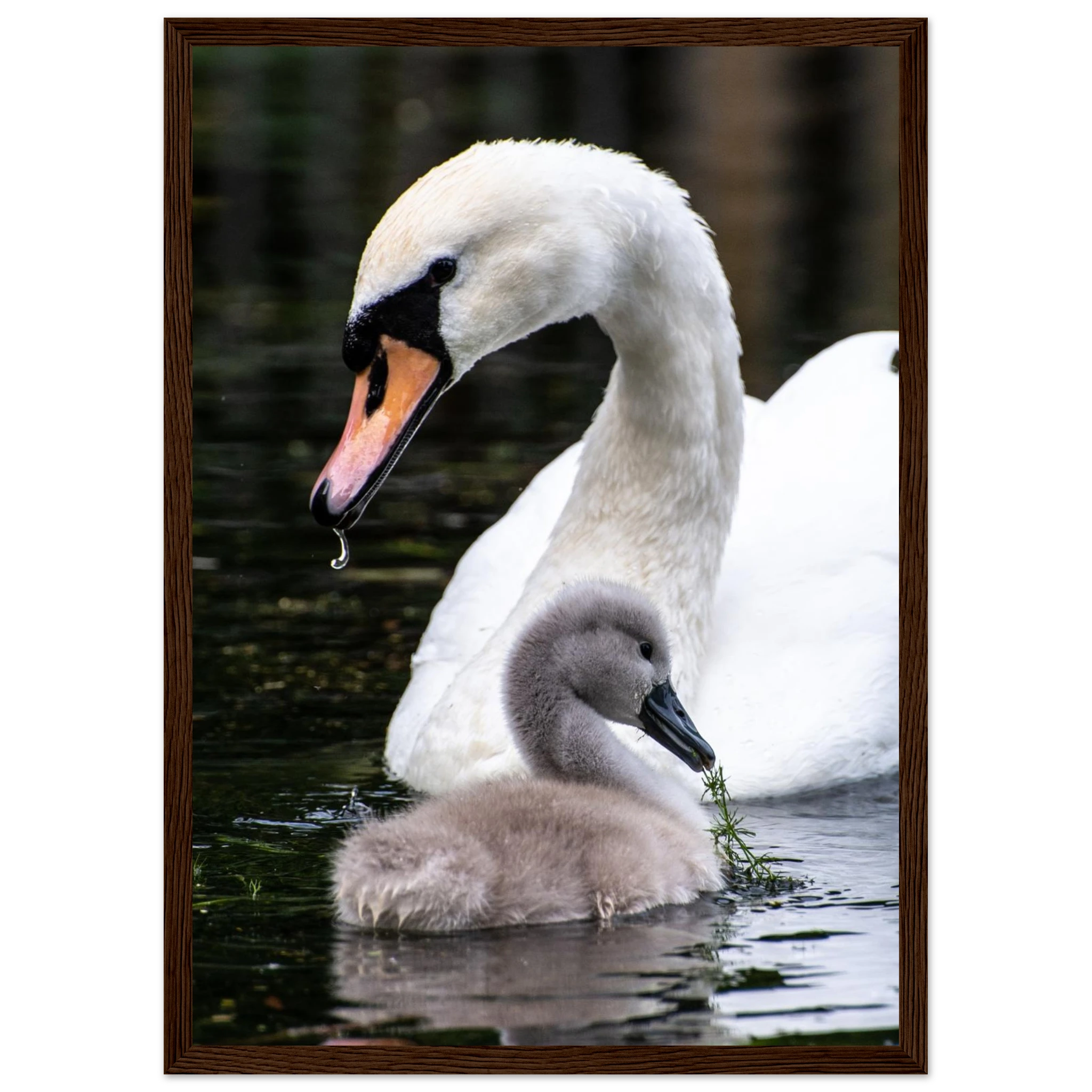 f9bbaae6-23cf-4999-9481-085b17ab69fb