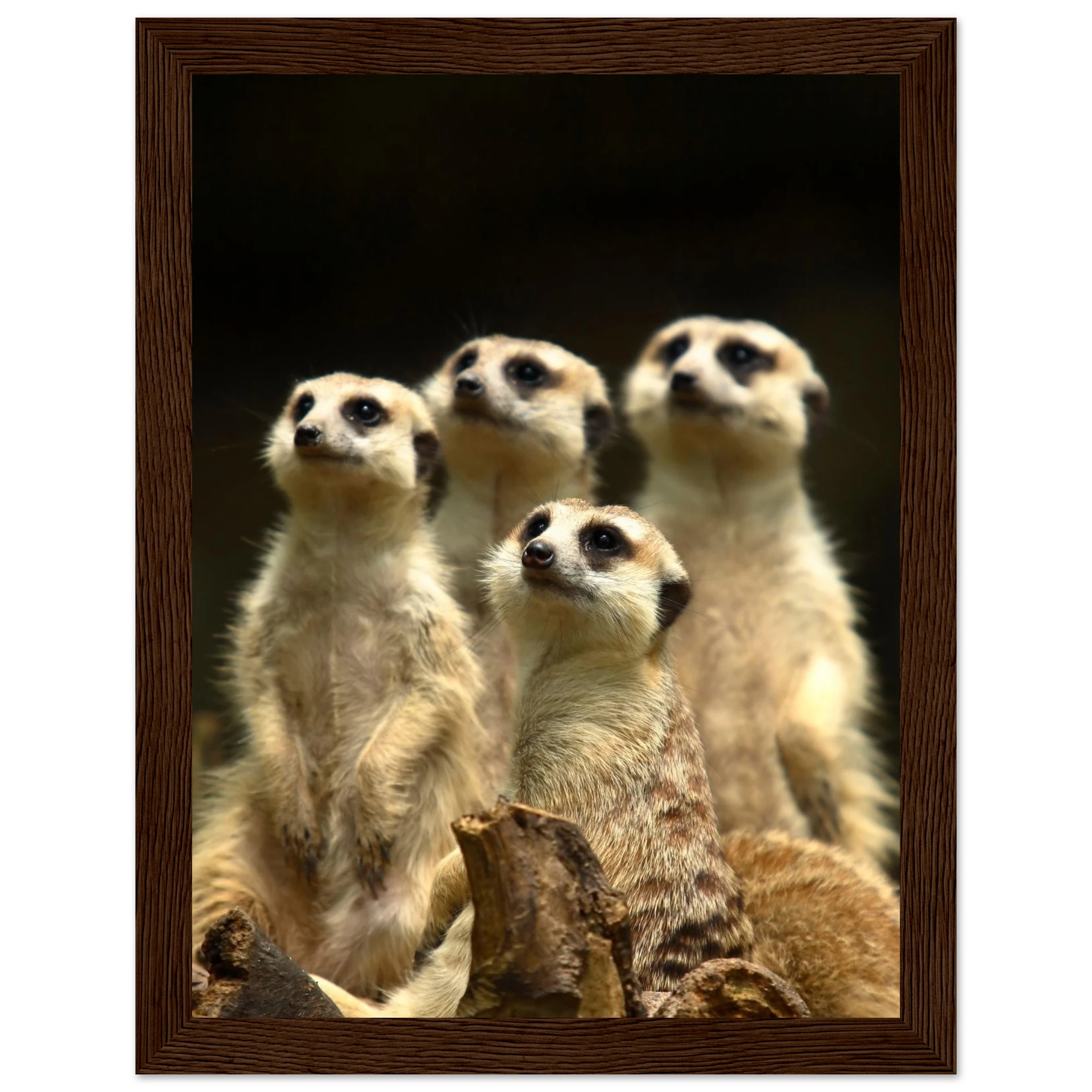 f9d7d750-bb11-4c73-9dba-dabbb8885af9