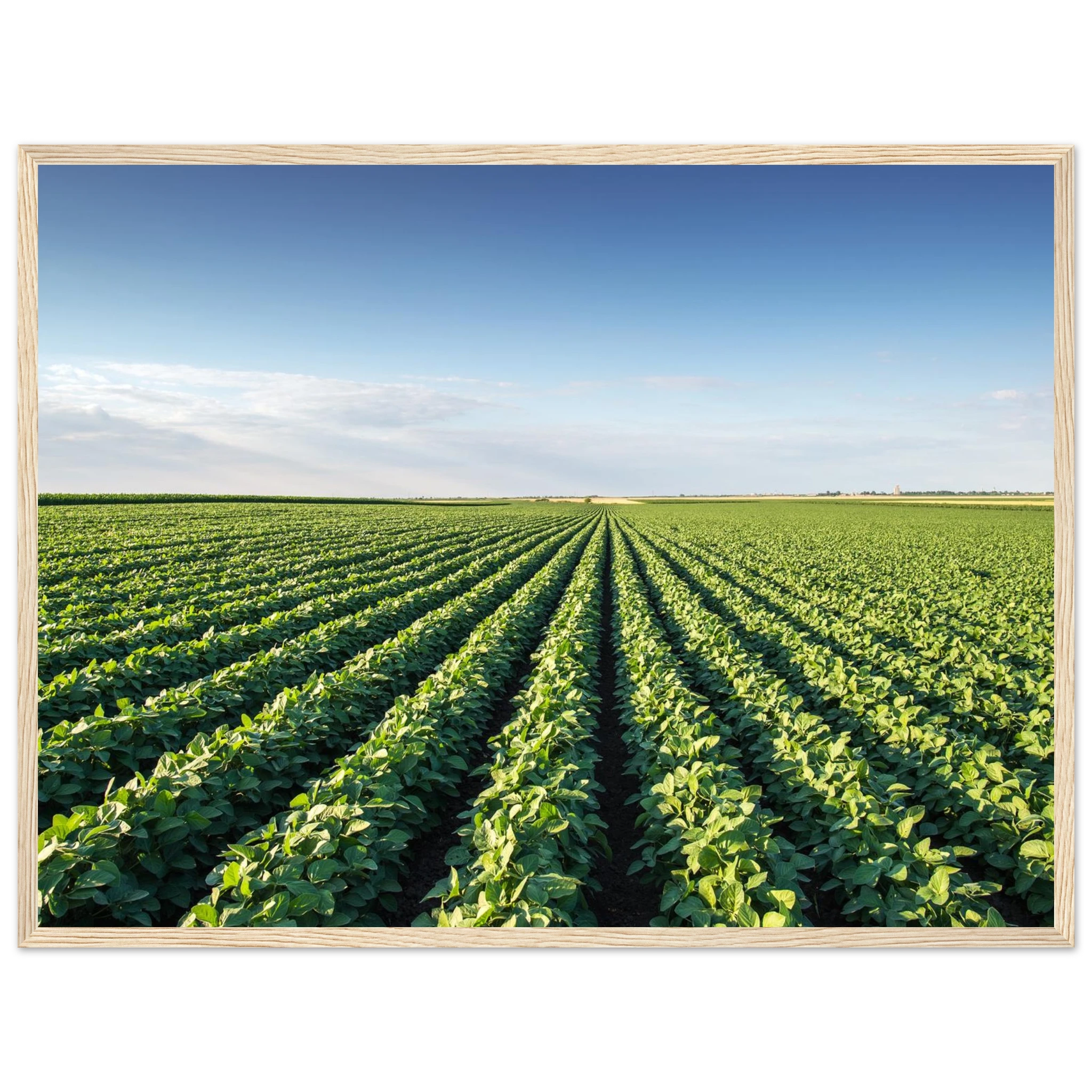 f9d9bf30-eddb-4f49-8f1a-002683bce448