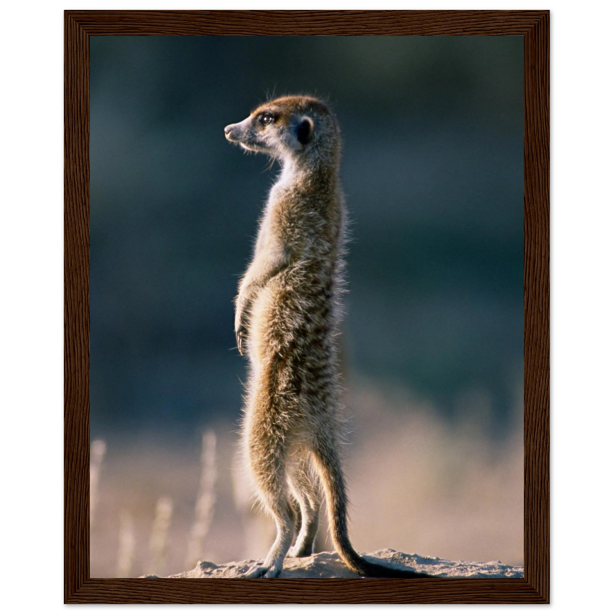 f9dba8f8-59a0-4665-aad3-16fe52c53e68