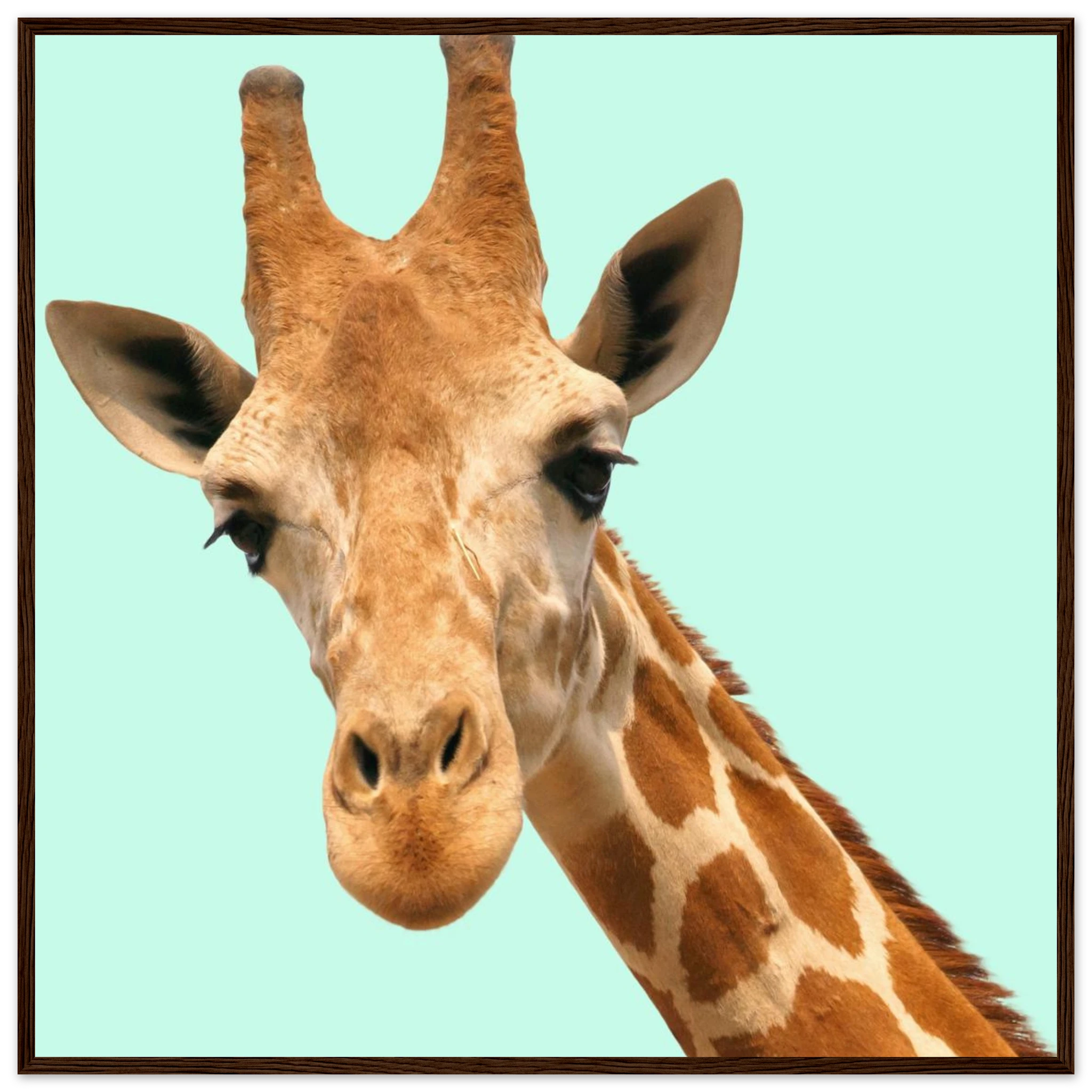 fa032a7e-8378-44cb-b851-a7228a0e8bd4