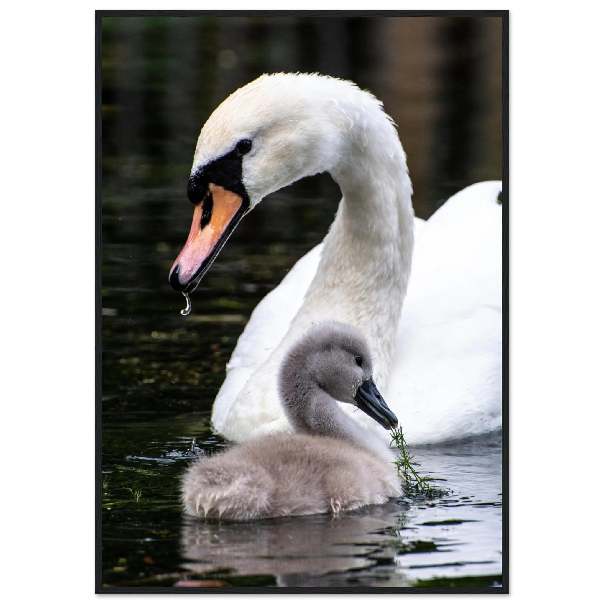 fa3cd34e-2e03-413e-9fca-dce010533f22