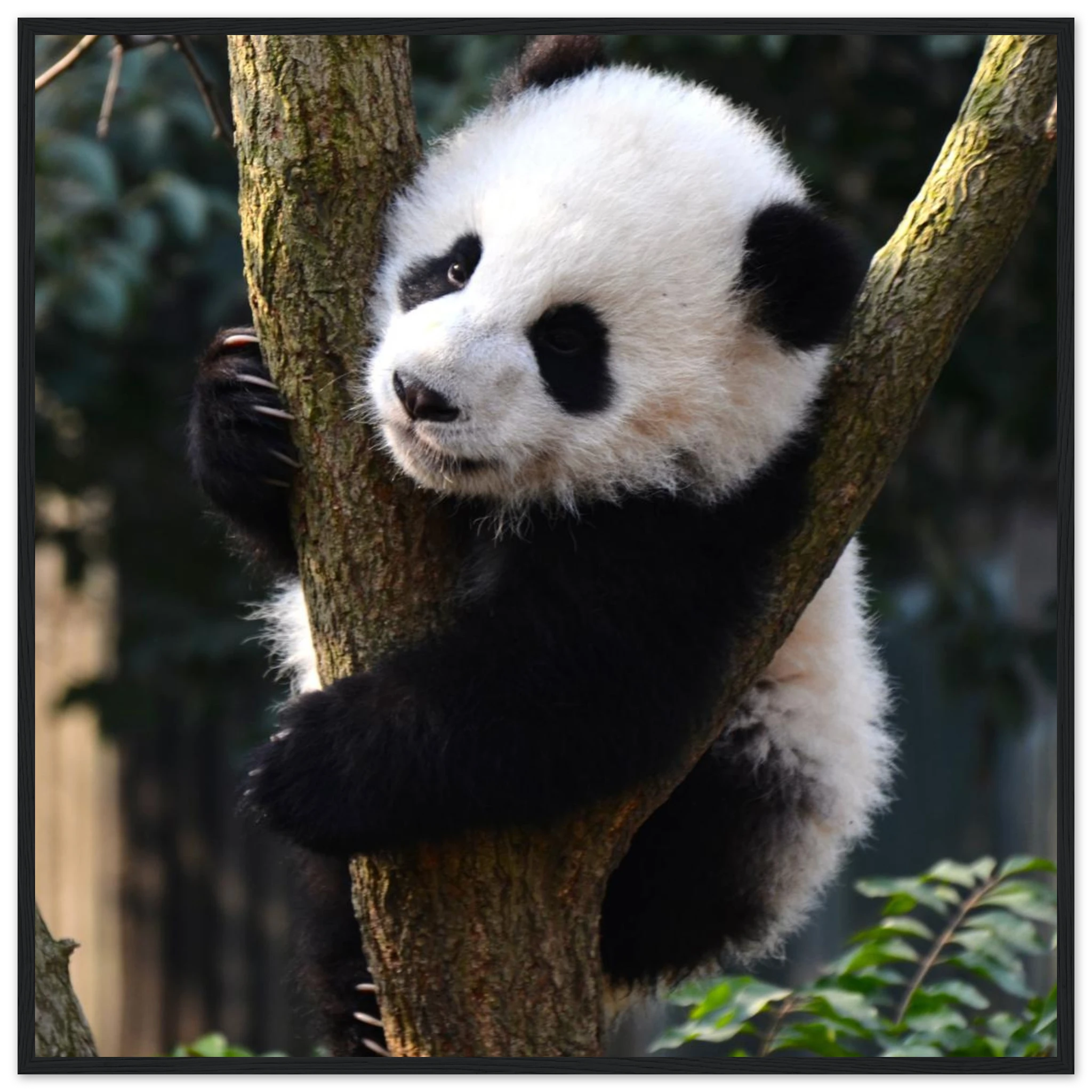 fa3dac0e-778d-490f-8696-94ee1d046760