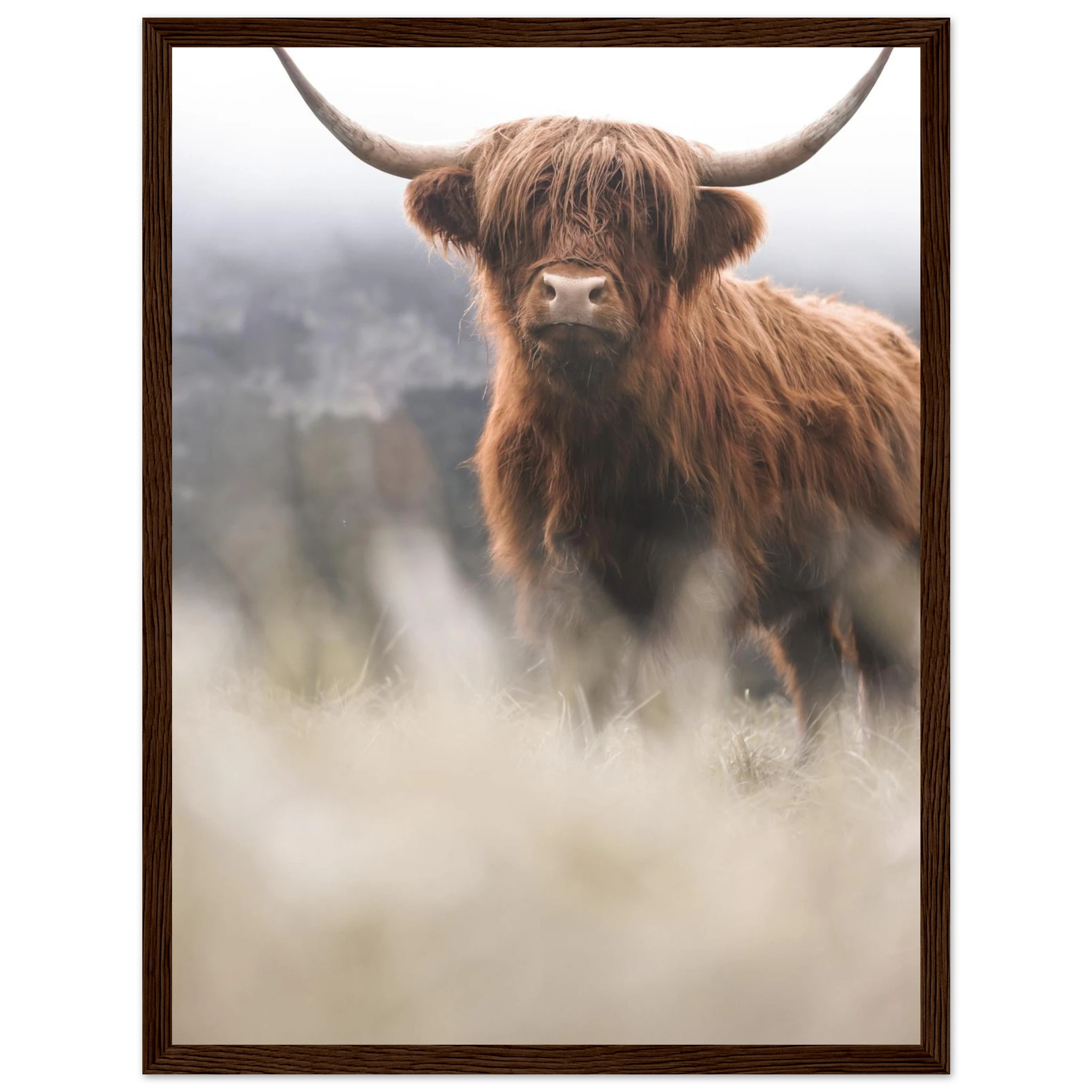 fa4471a0-cace-495e-815a-d3ec00d270c0