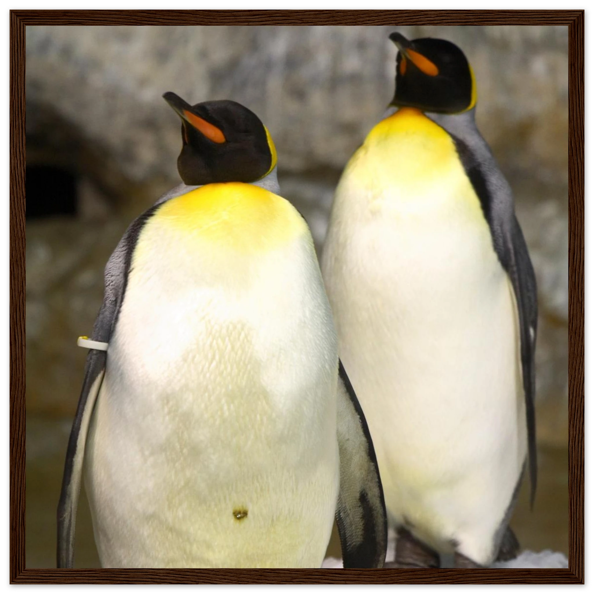 fa45a9c5-8809-4458-9d08-1073d51620d2