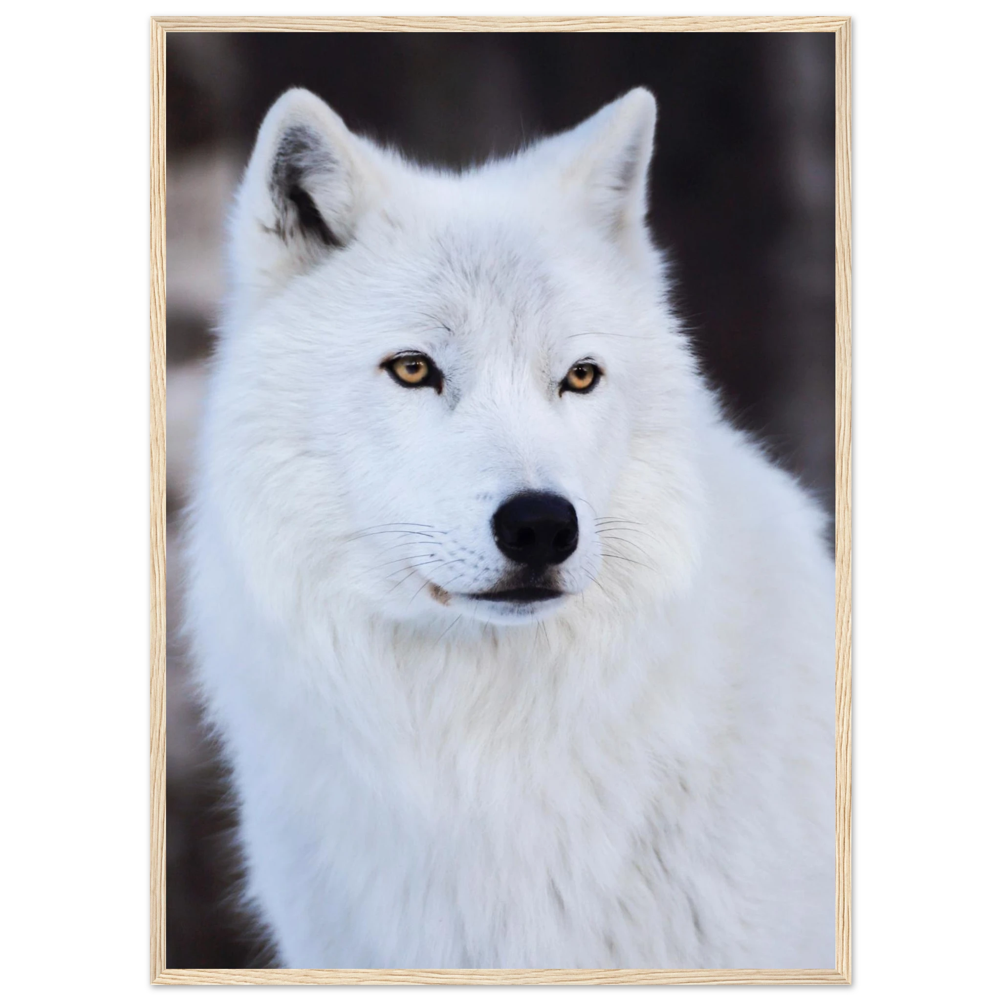 fa5d6773-8b6d-4c19-be3f-7193e9a9deff