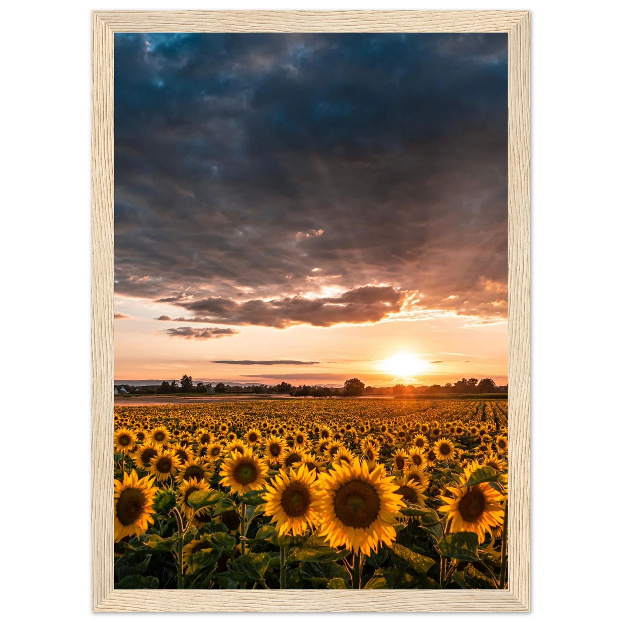 fa6c352d-37ae-4e17-9201-577d04e4ee34