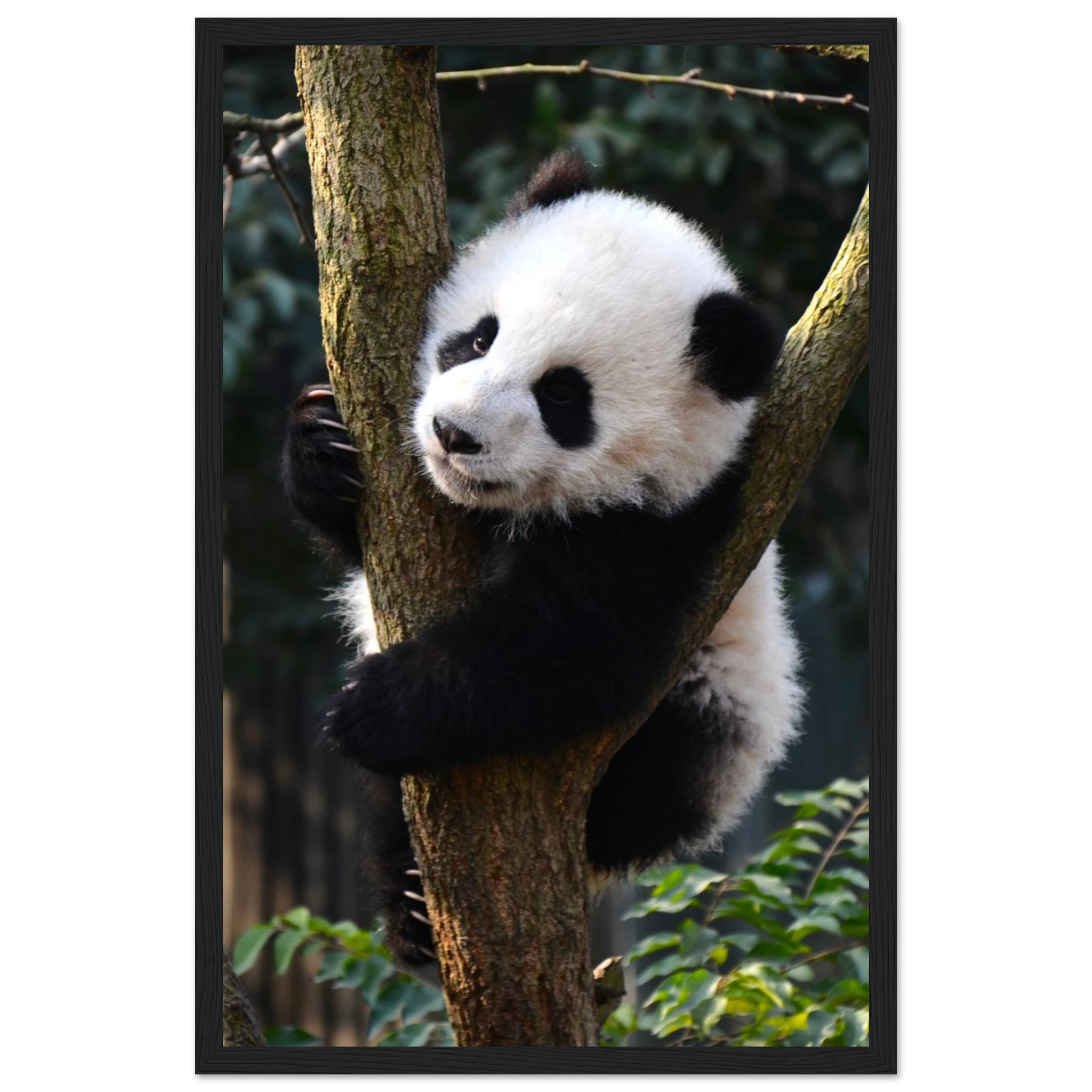 fa8629eb-59ca-4d72-ac3d-cfa299d31283