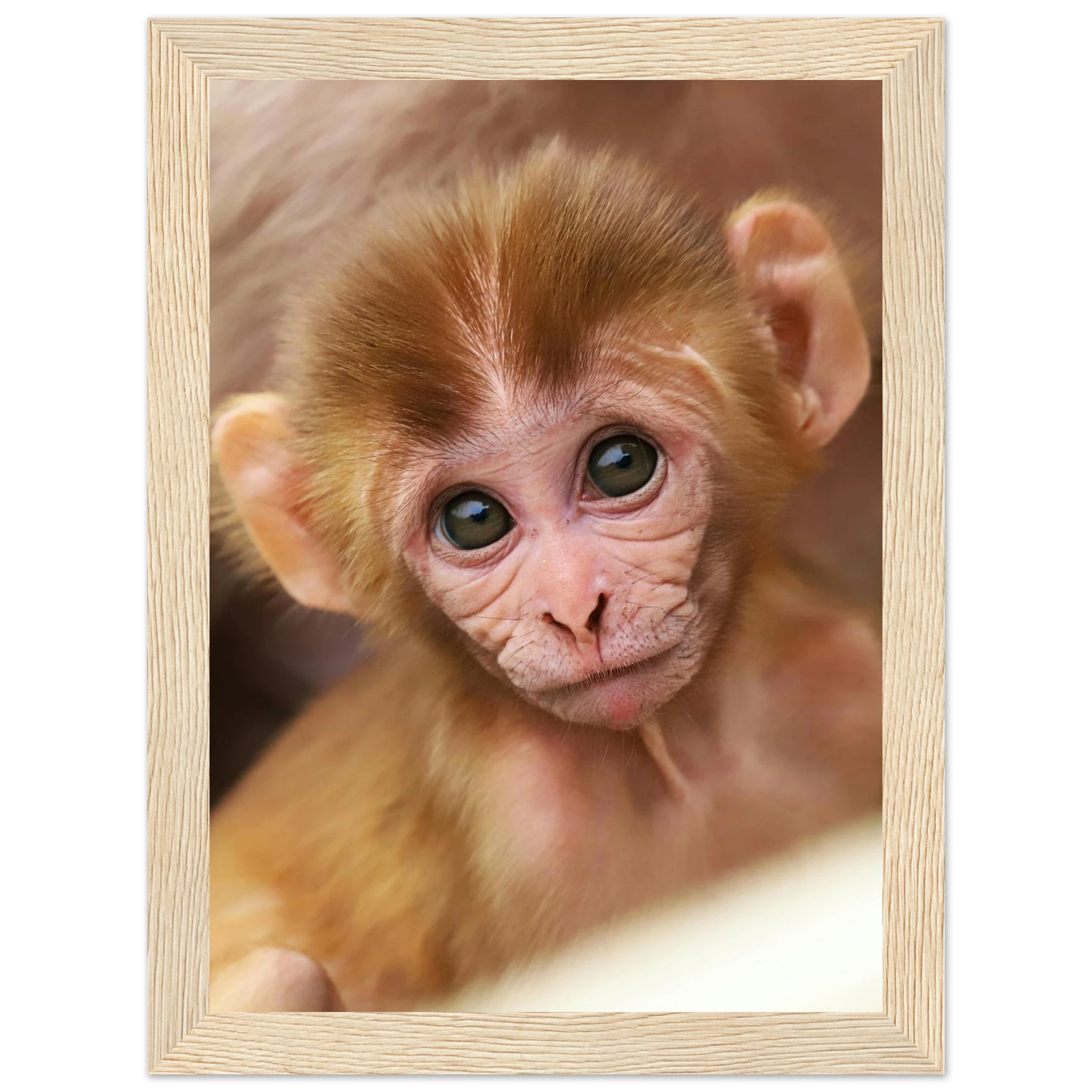 faa26980-efa9-492c-bfea-16ce34f67153