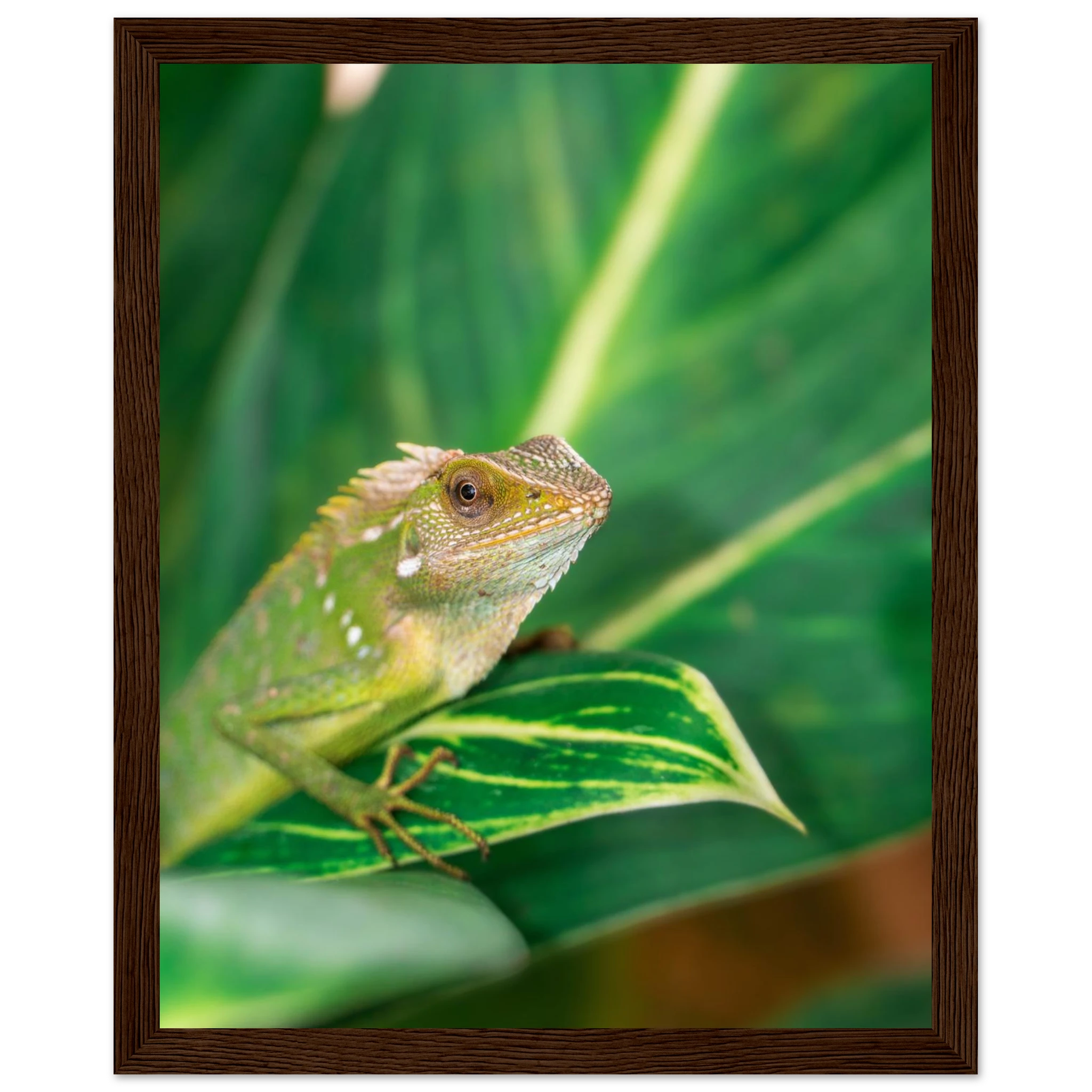 faac037d-8888-4c06-b299-997a218ba6d1