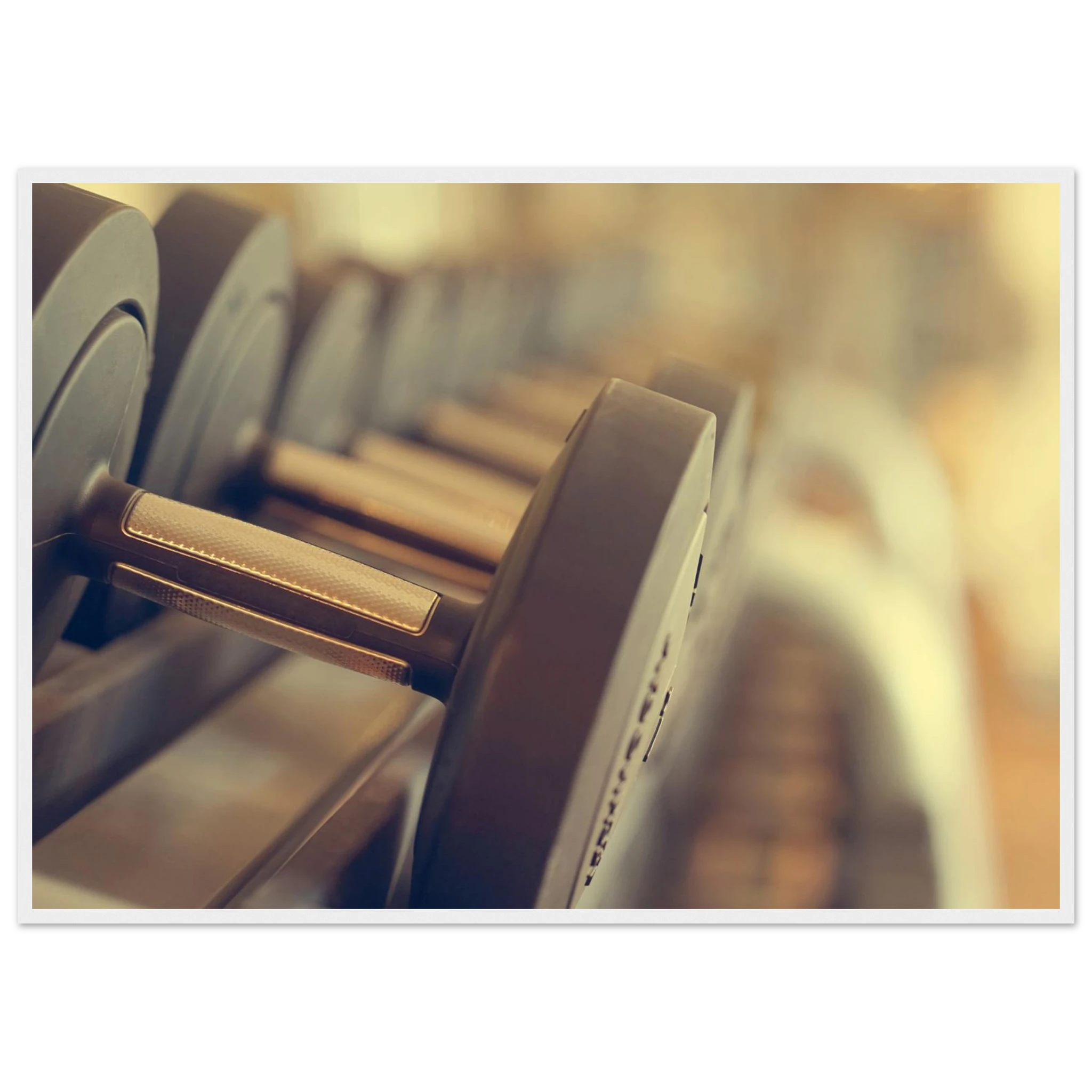 faccc34a-ad75-409e-a311-9fbceb69d5df