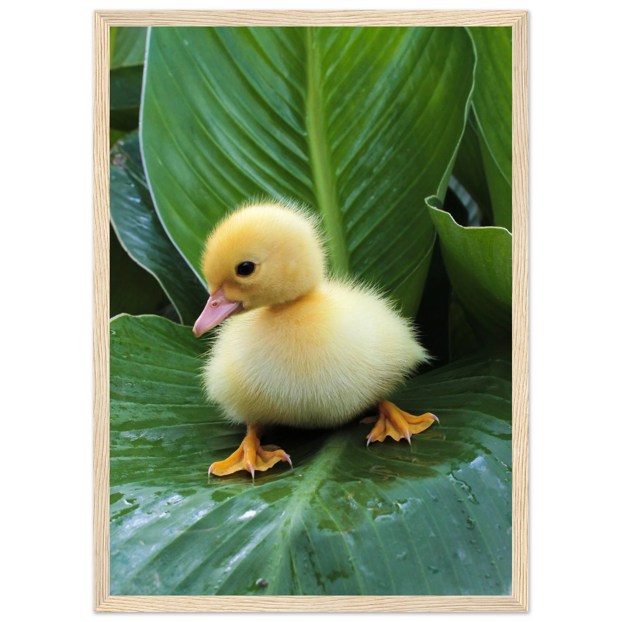 fadbb992-0905-4cbb-b09b-460c27286593