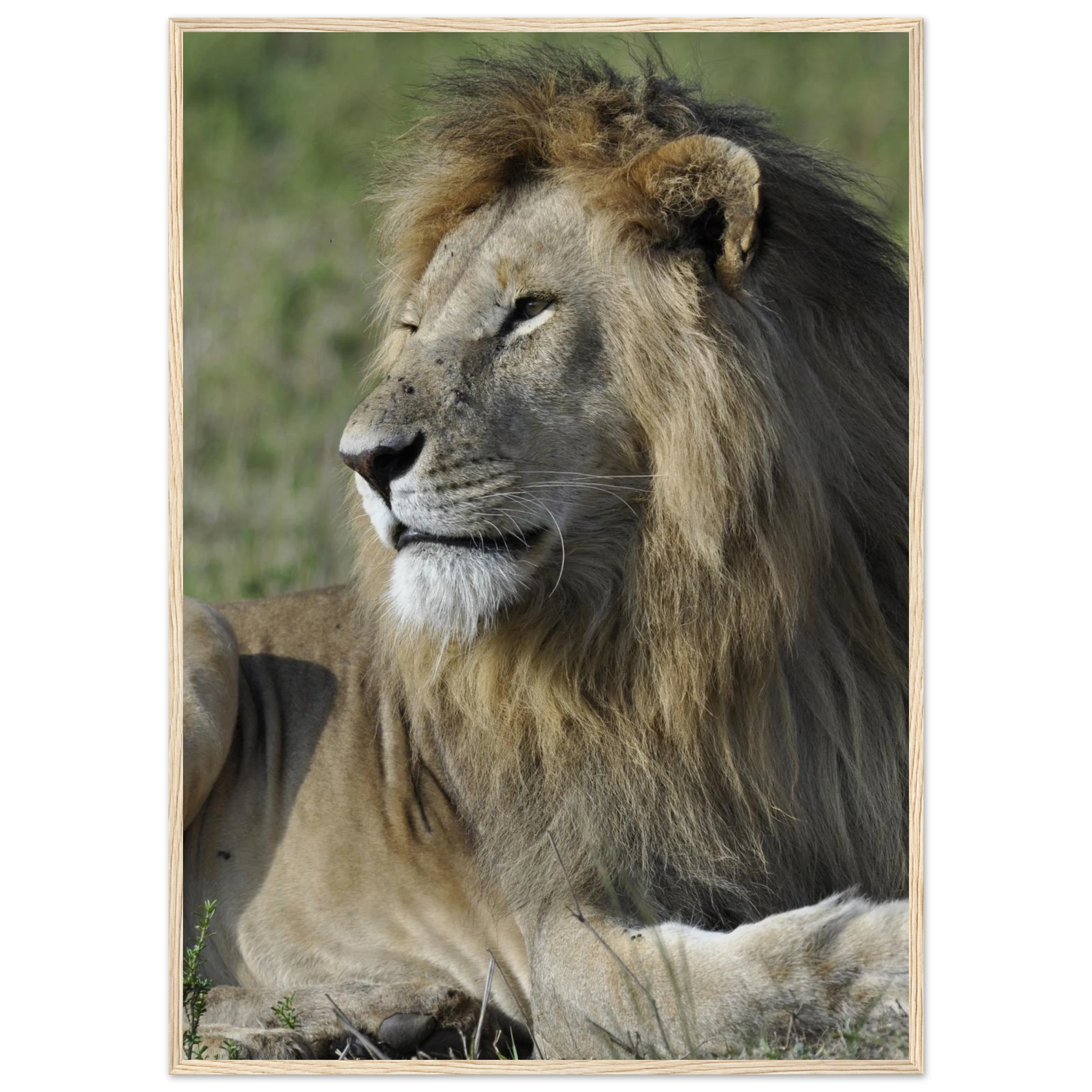 fae7faa8-ad7b-4ad2-8cab-07aefe08ed54