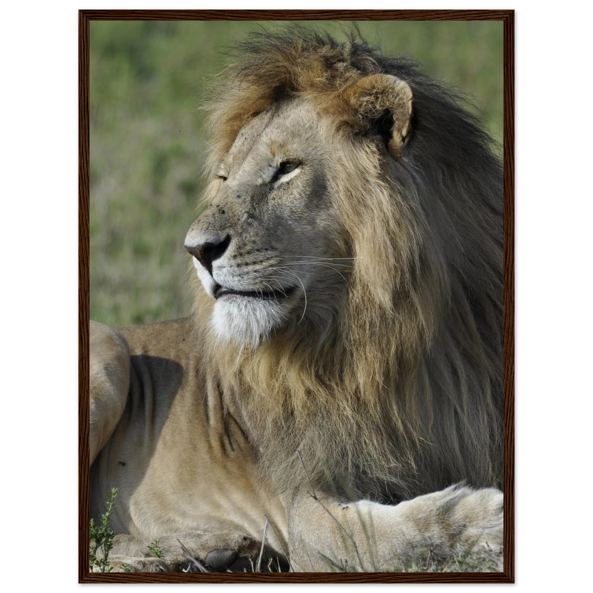 faf01844-e899-4ebb-bccb-1ed15af1f72b