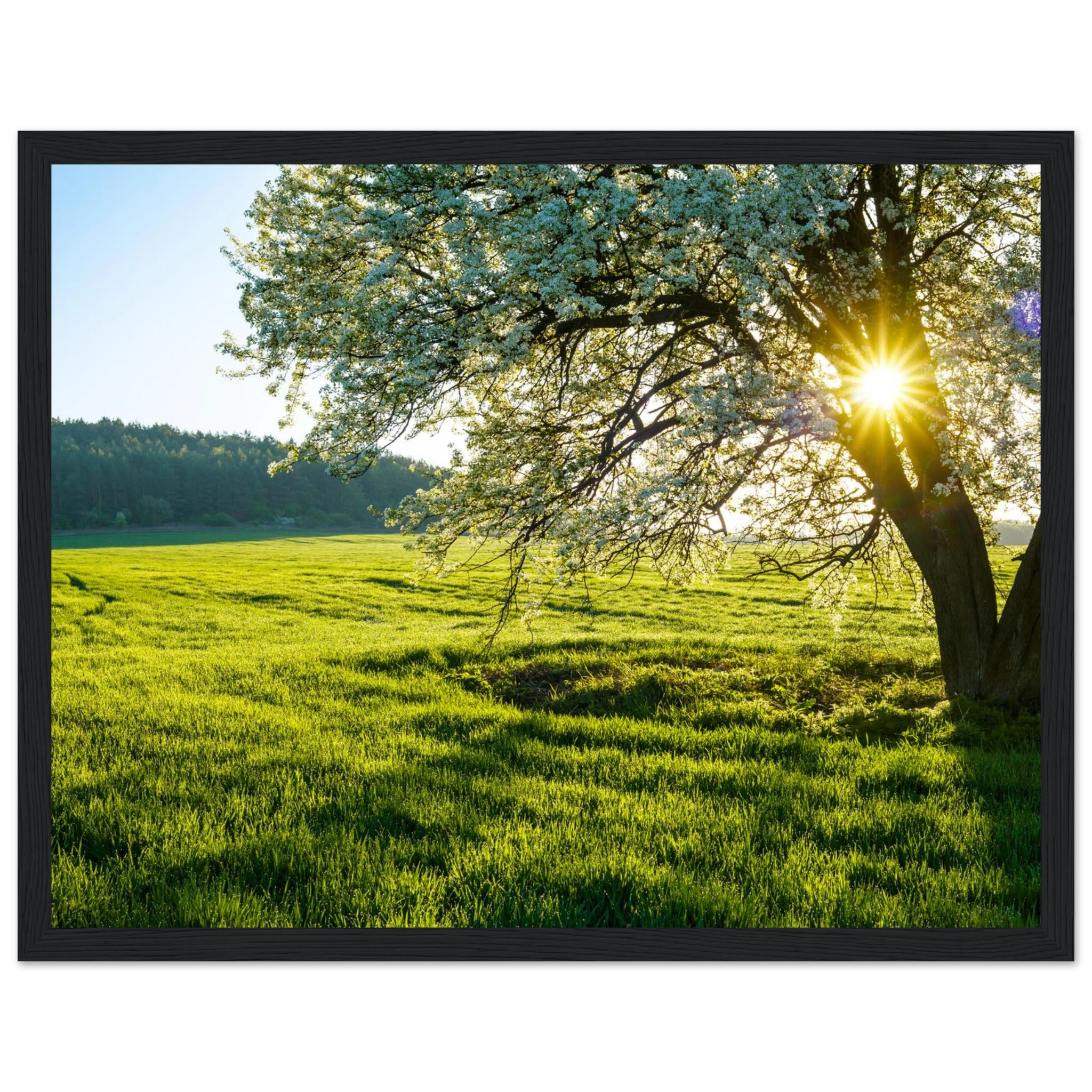 faf3adbd-969b-4df1-bbb2-dd4623d6a87d