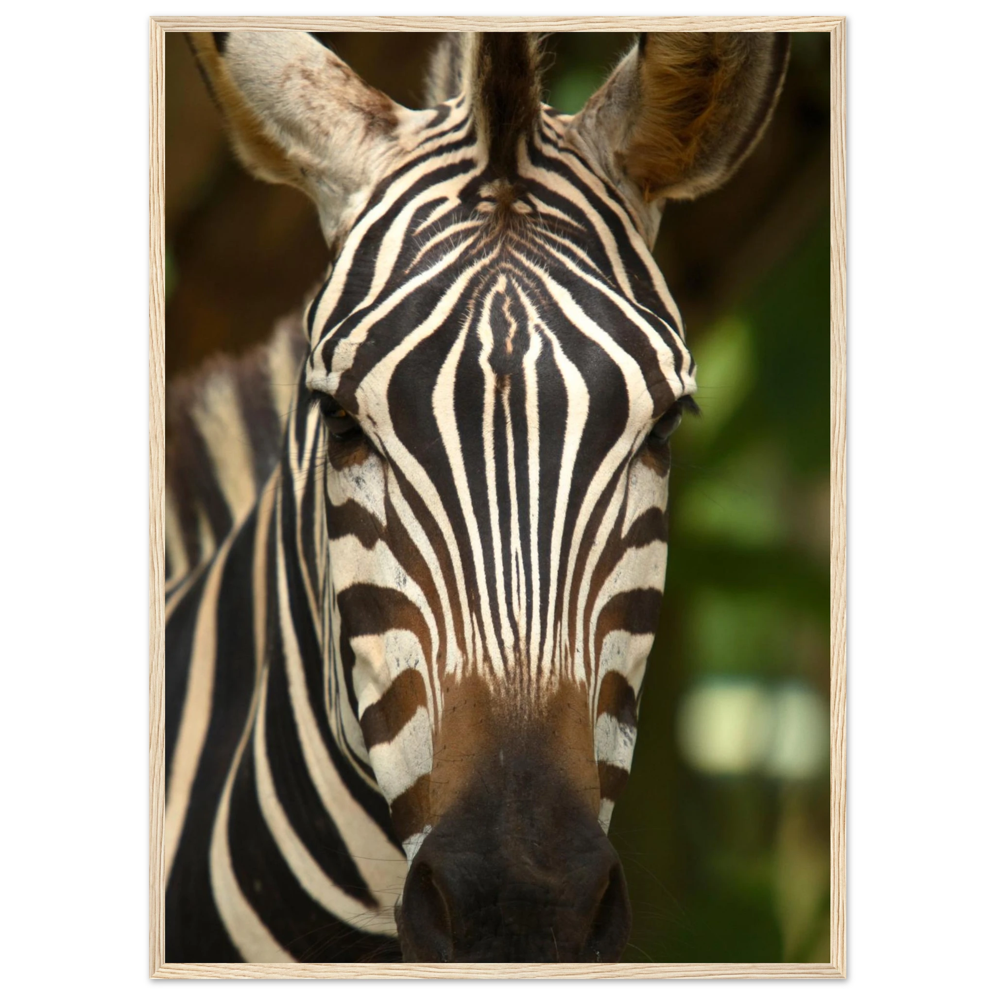 faf3b6fa-51aa-4ef4-a957-e8e78ac64468