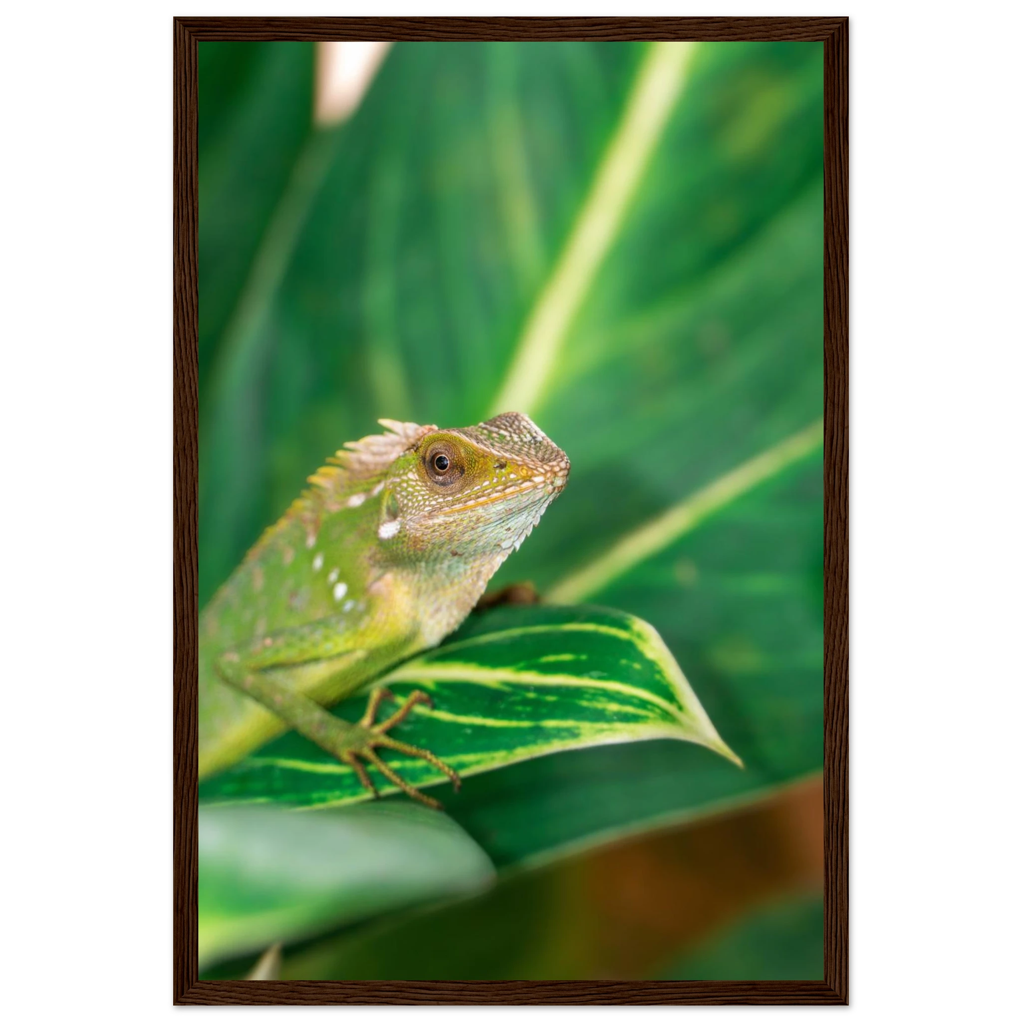 fb1b466e-3213-4df2-8dc3-31171403bcc6