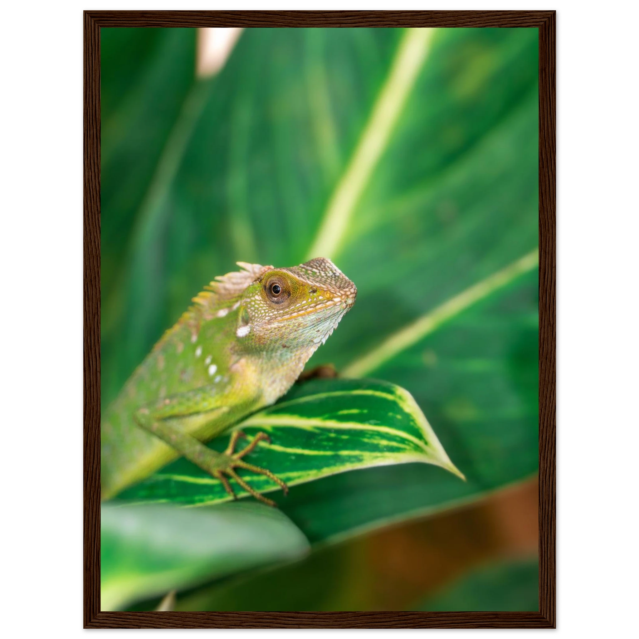 fb2a7d94-7942-4952-9f76-af5f8725f39f