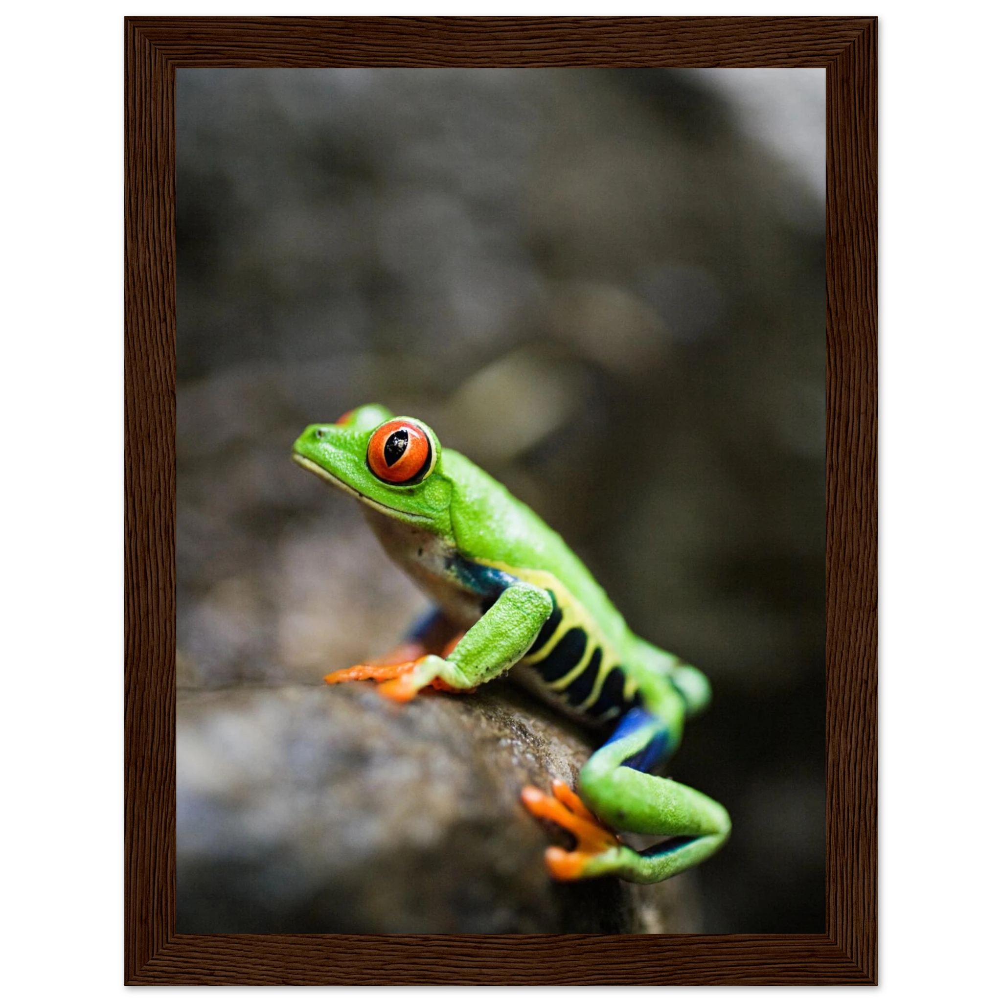 fb2edb58-3c38-4799-9f0d-1bde35bf2f3e