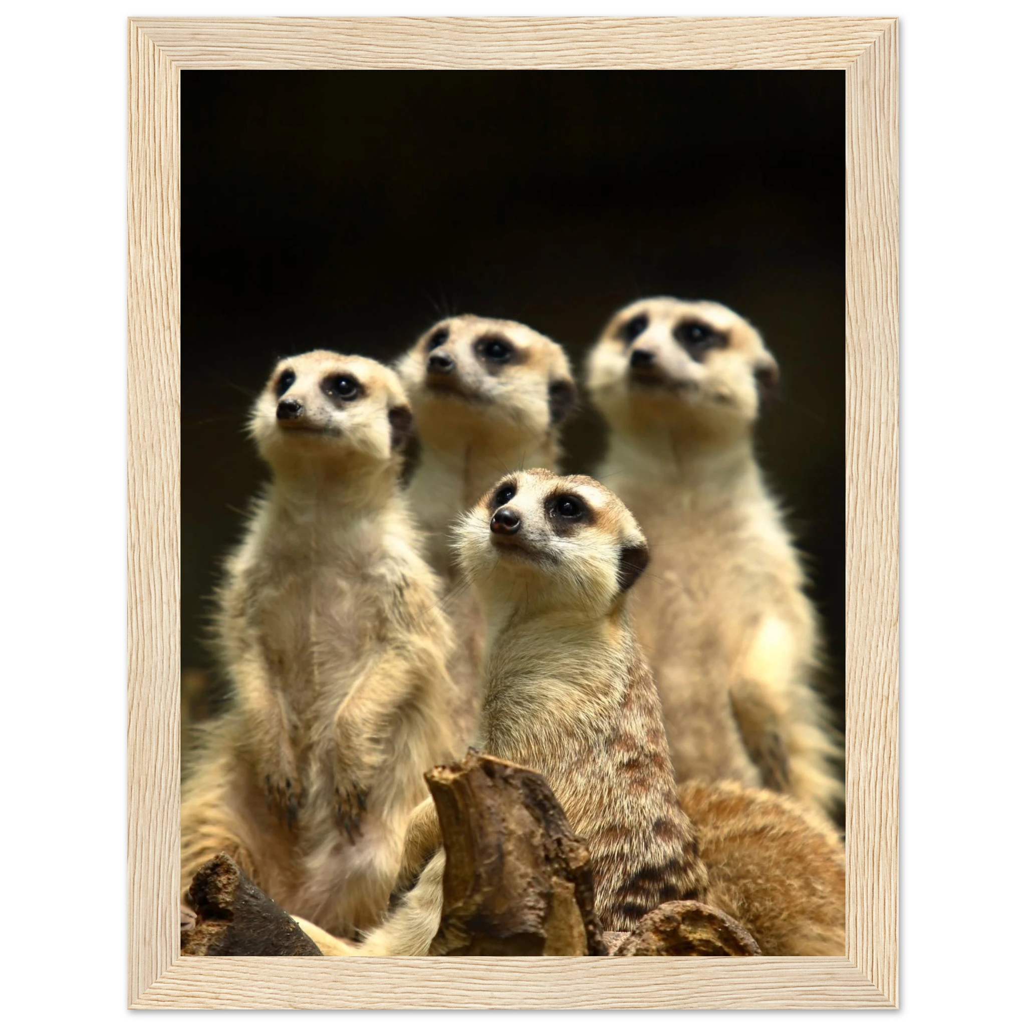 fb4abb34-6c7a-4e45-a8da-d4ab2fad7a0b