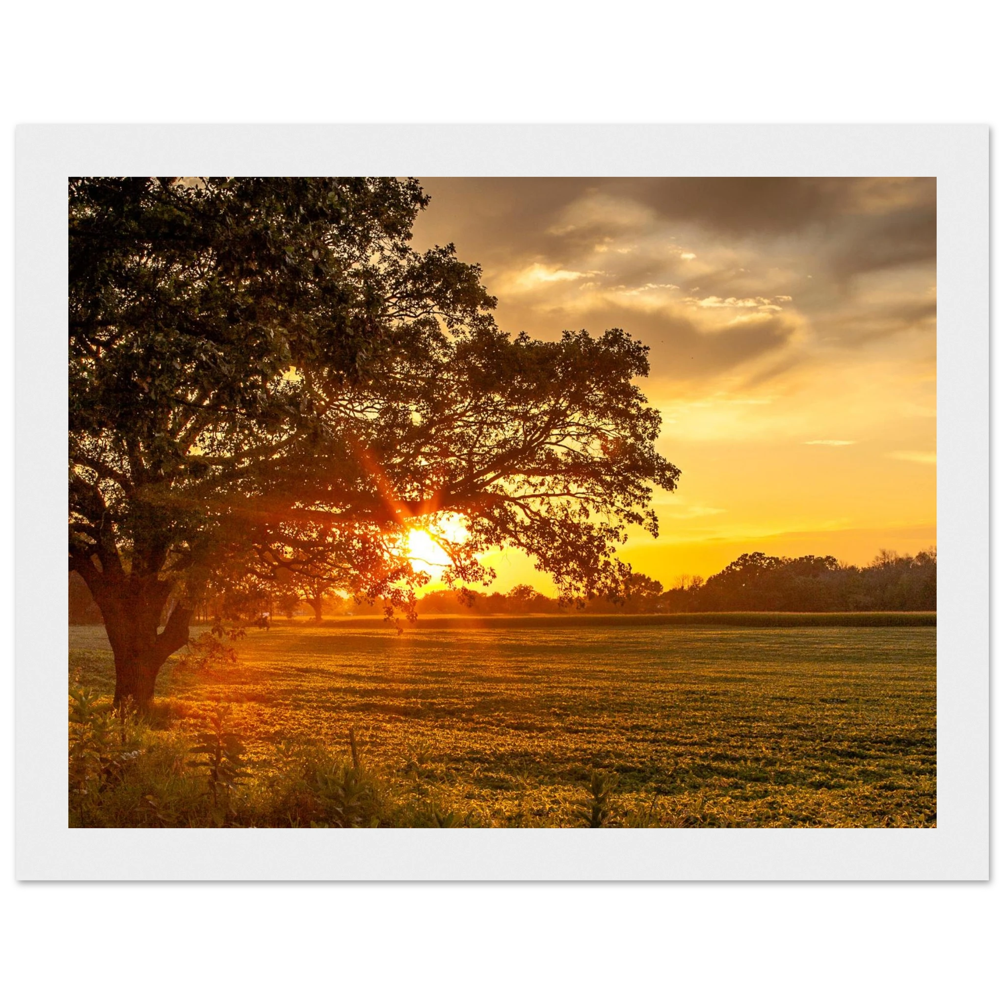 fb70893c-5ea3-4356-bca3-69c119bf6a63