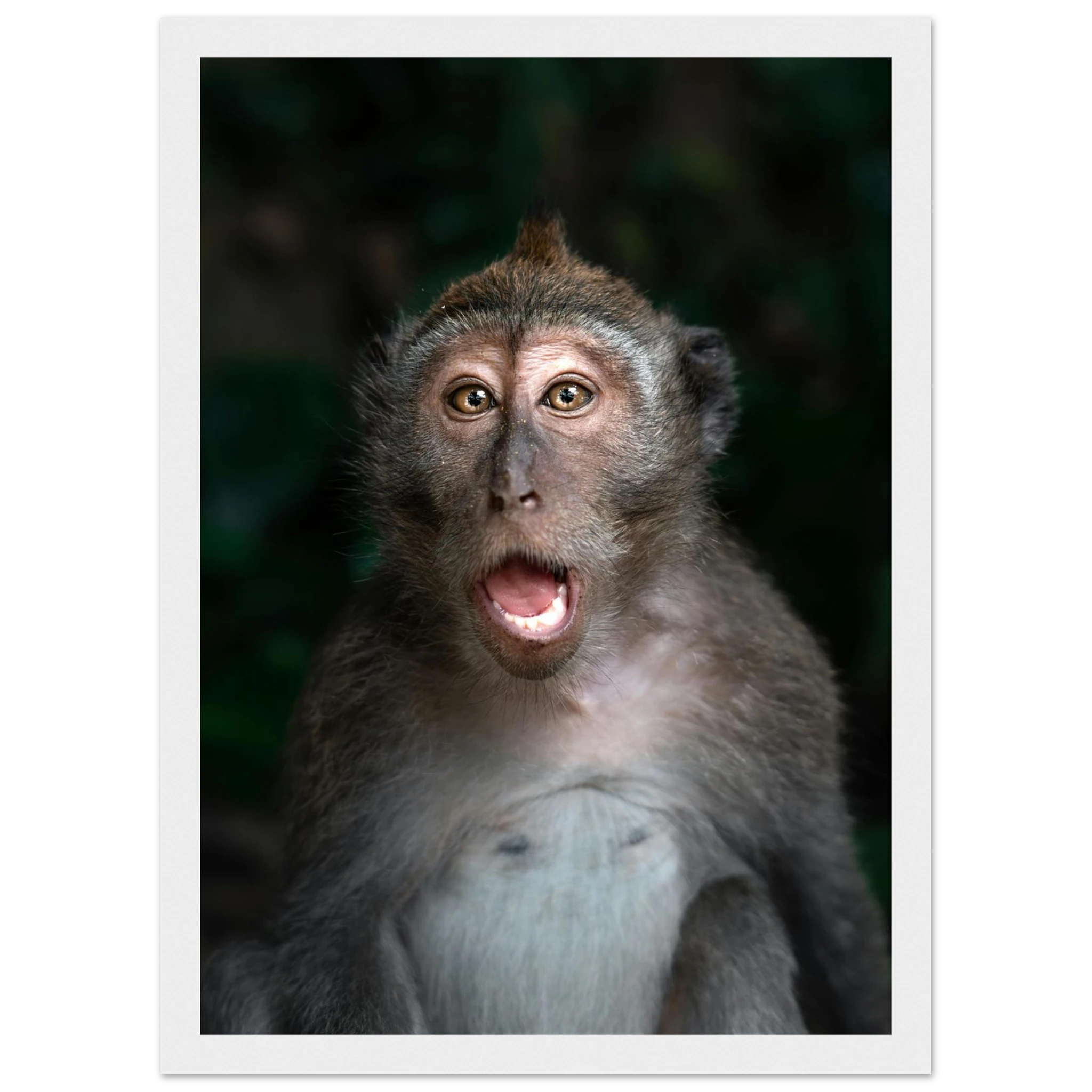 fb8f9068-b831-41fb-94ca-81ad1f306a03