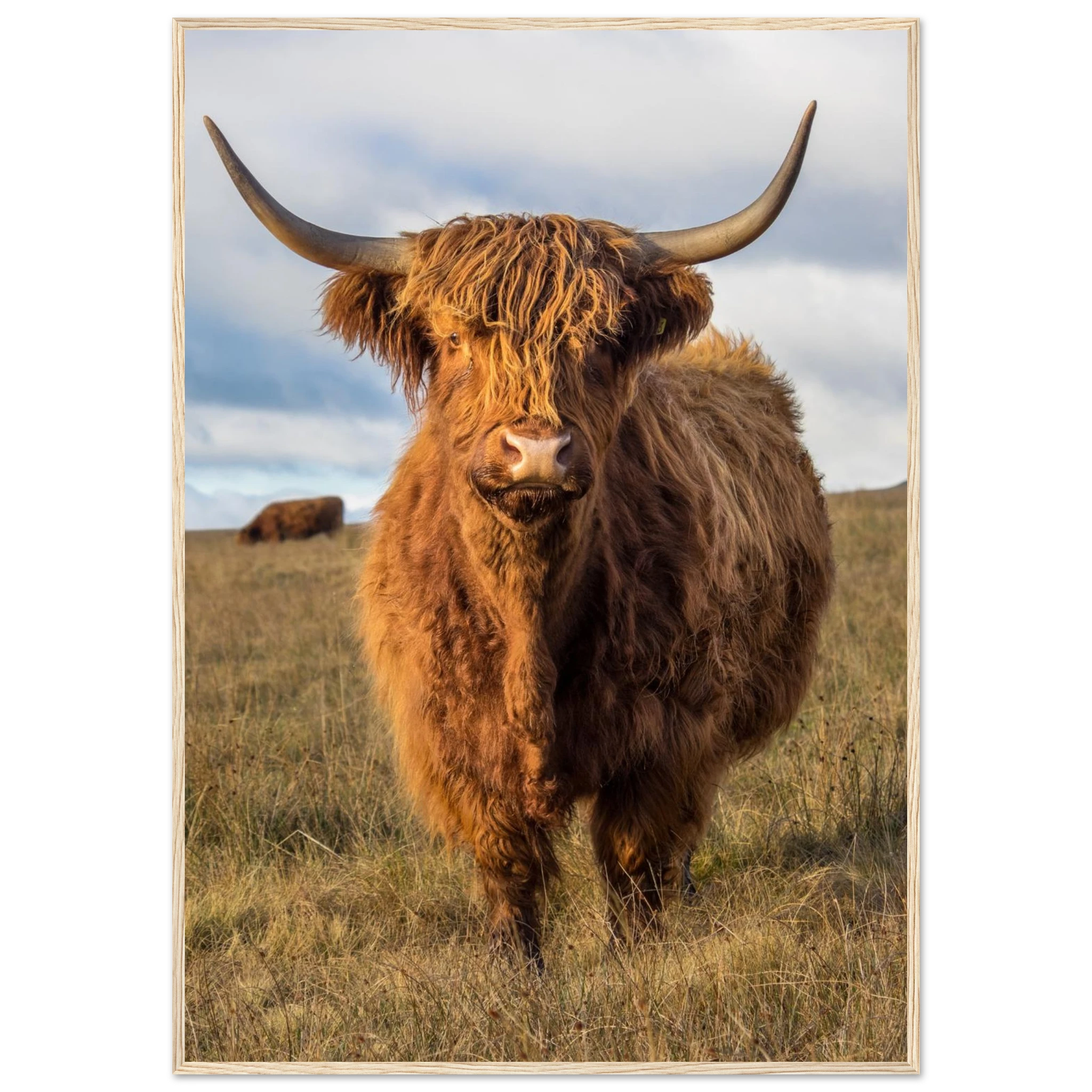 fba53231-5fe2-4245-9446-e343bfac15b3