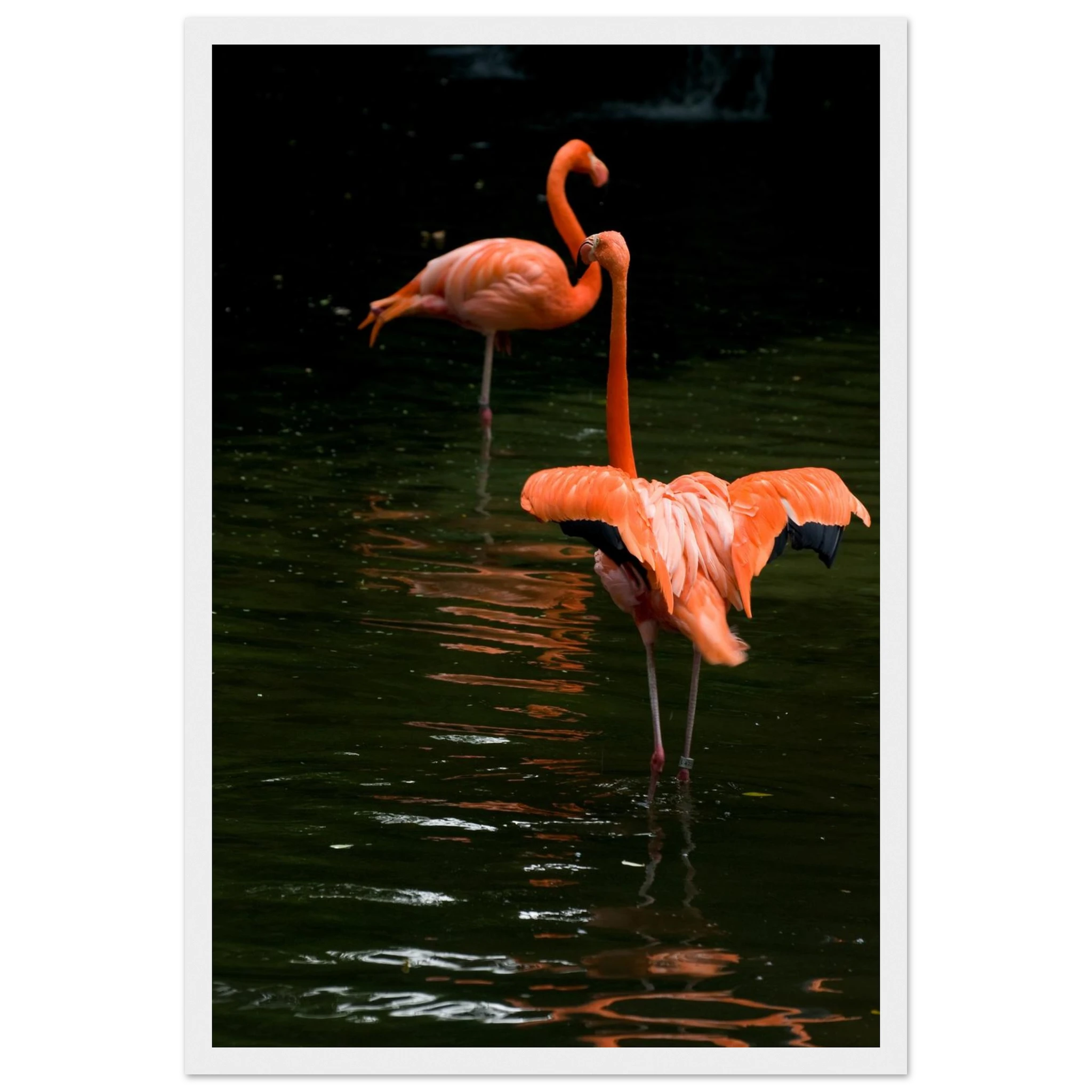 fbbfb024-29fb-460f-b3a4-c3ffbe36f0cd