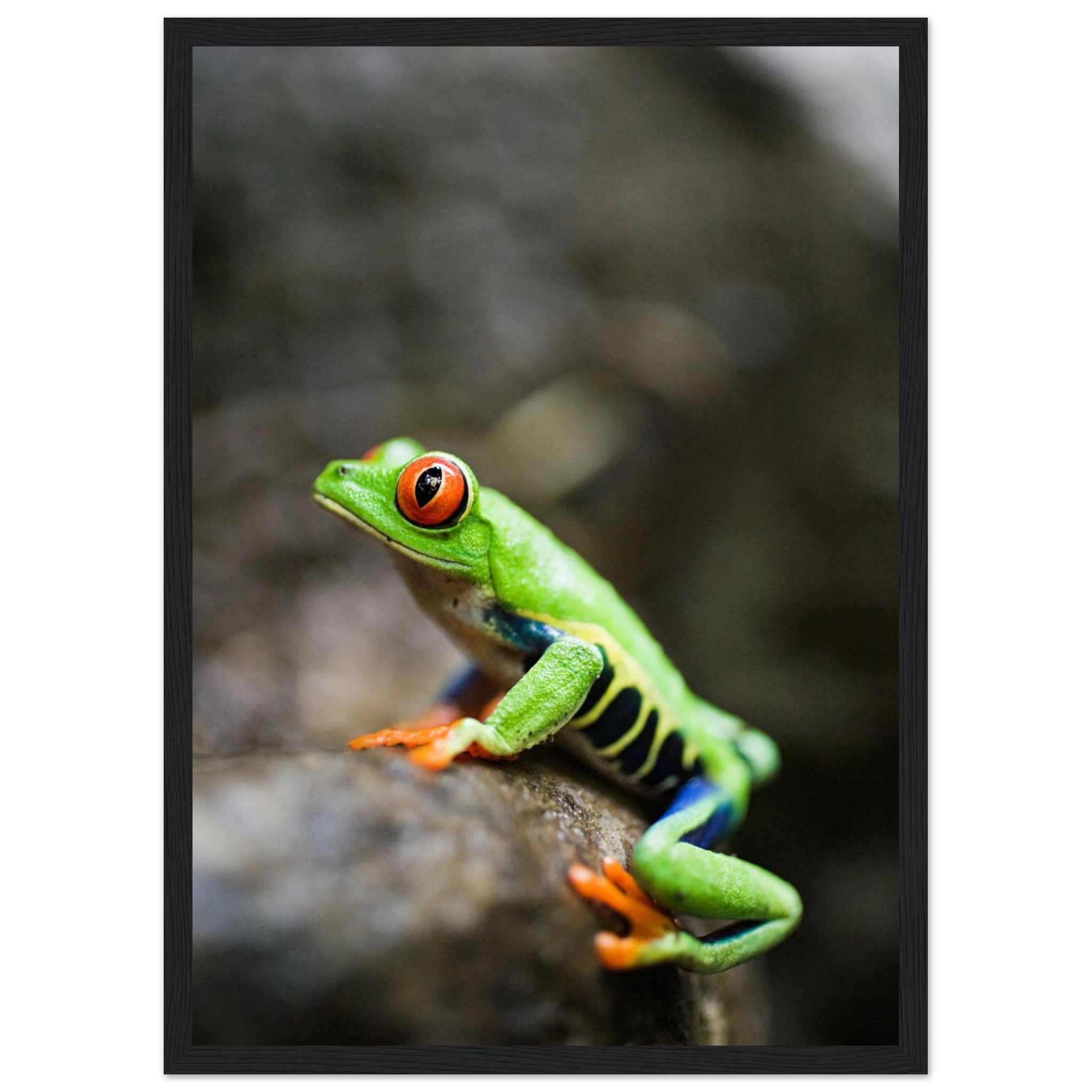 fbd54b60-20a4-4b0a-baae-6da59b2a986d