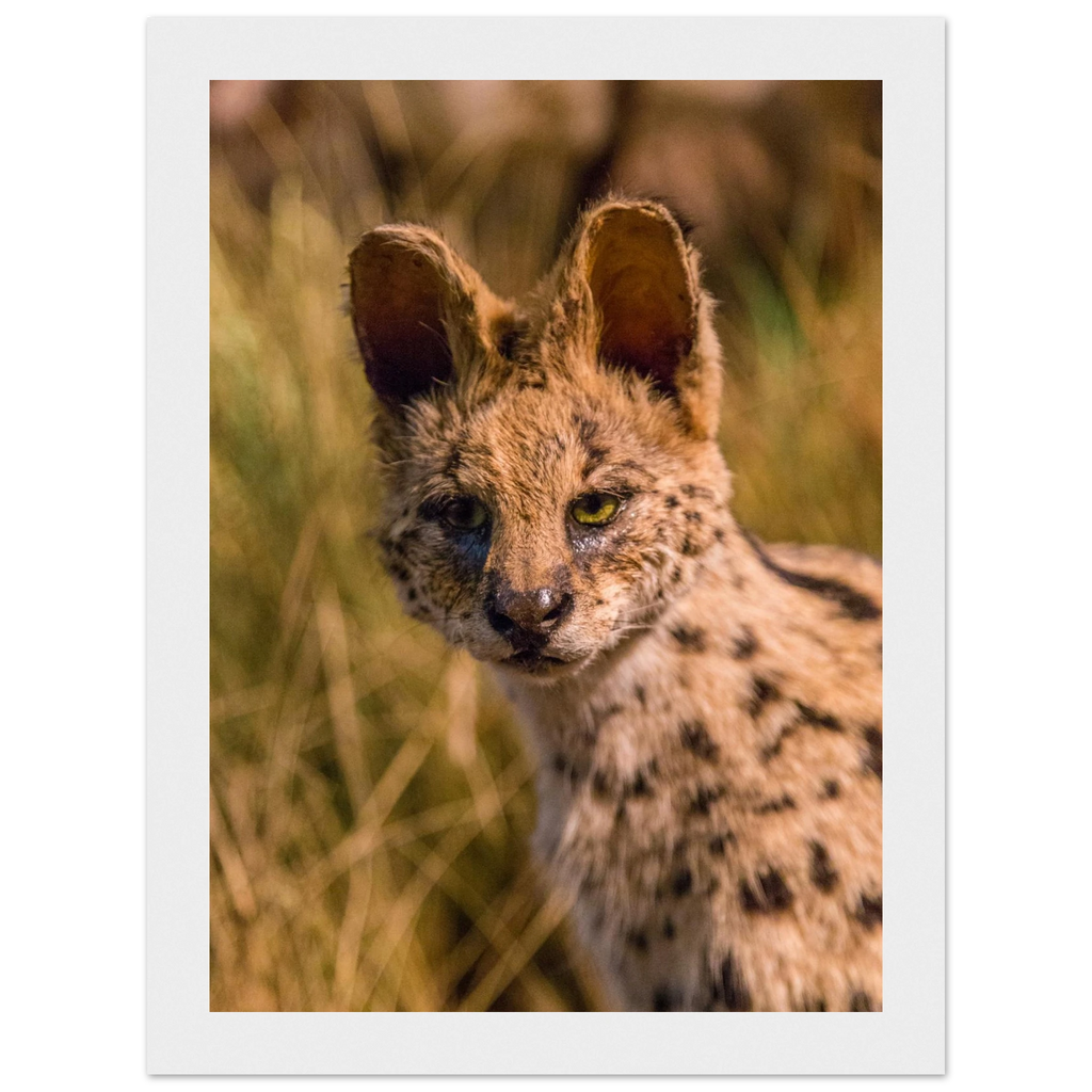 fbe225d2-493a-4a06-b11e-7510745bc4f6