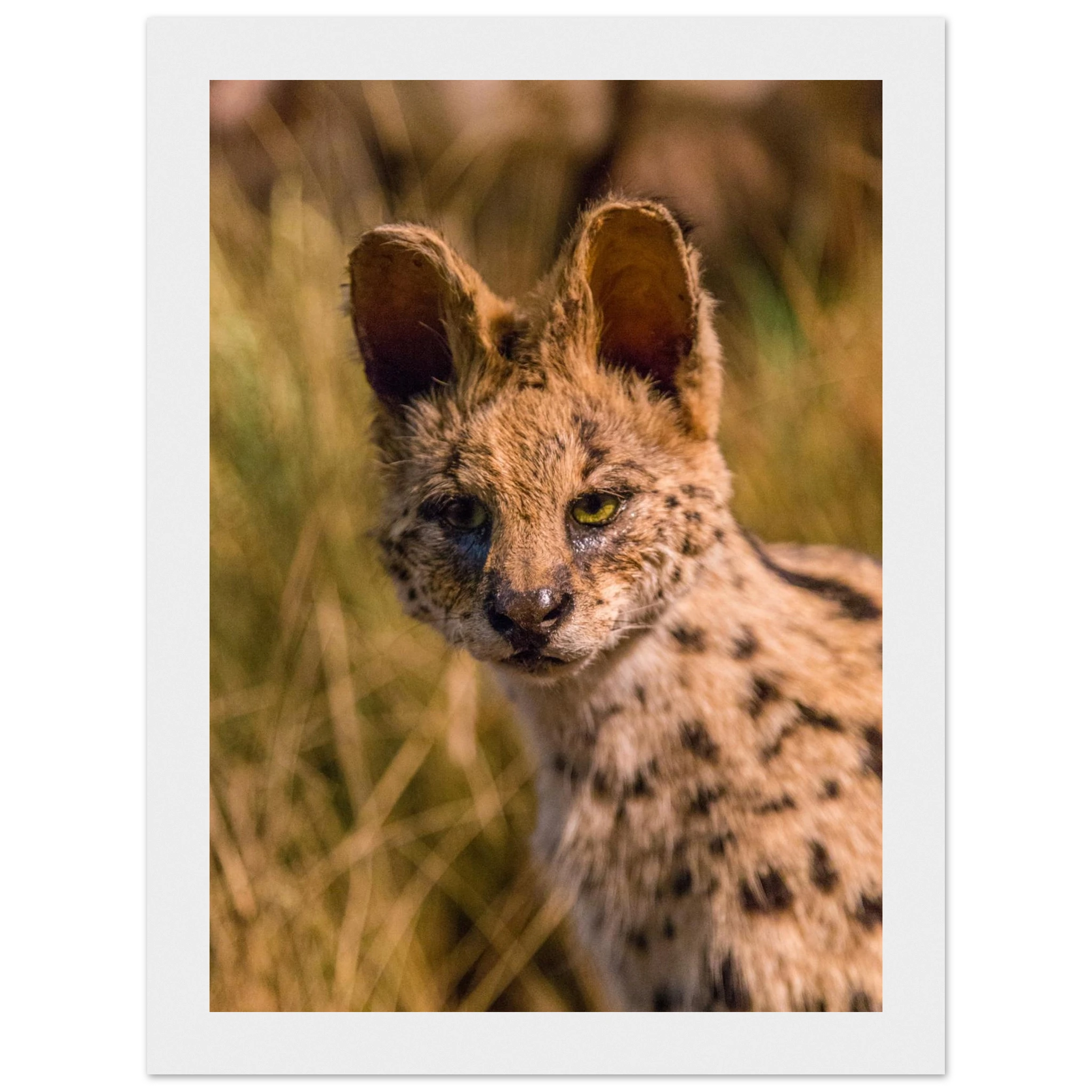 fbe225d2-493a-4a06-b11e-7510745bc4f6