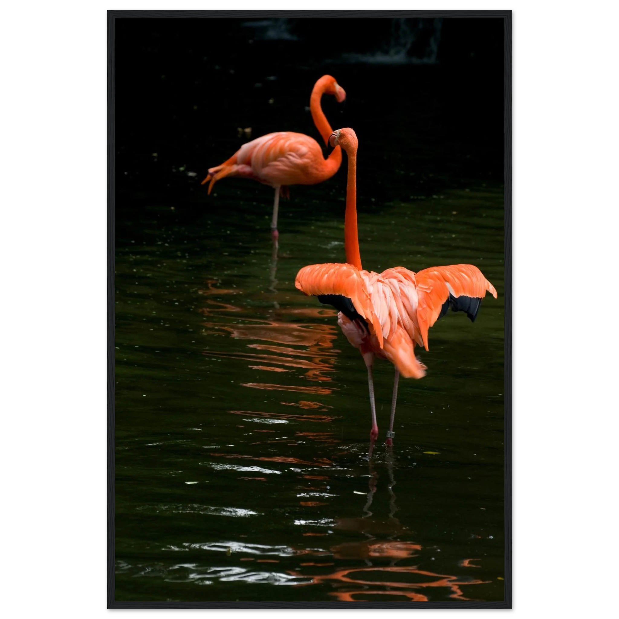 fbe7d885-44b0-4b50-a82e-b7326189a1f7