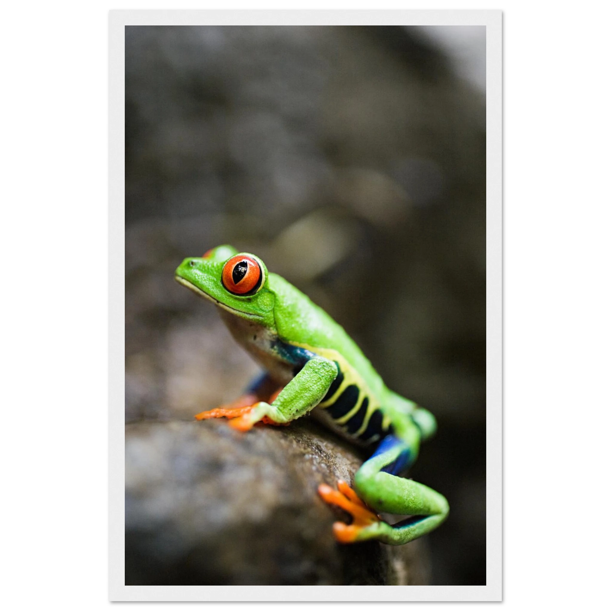 fbec3040-b59a-4001-a960-b971c16a5cb0